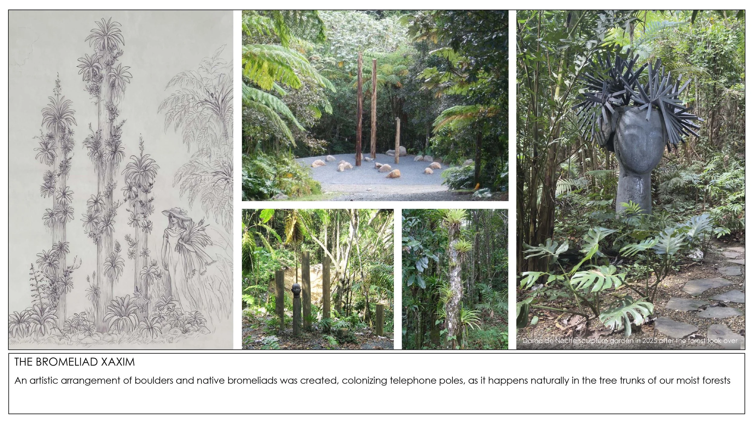 2026 Rainforest Interventions-8.jpg