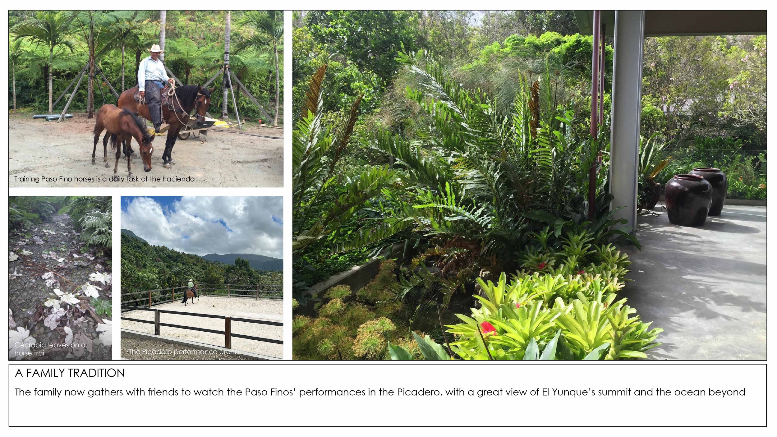 2026 Rainforest Interventions-9.jpg