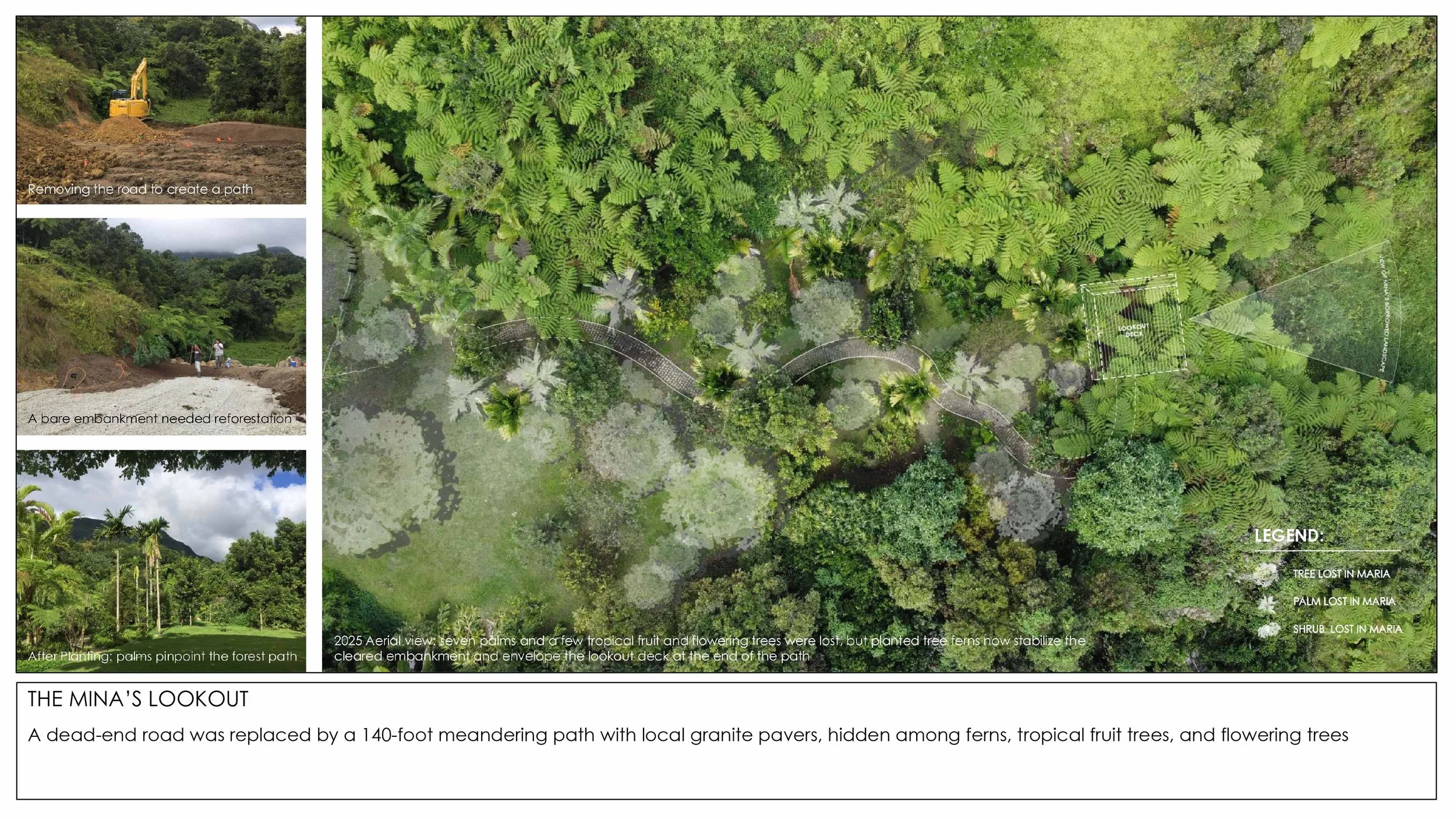 2026 Rainforest Interventions-12.jpg