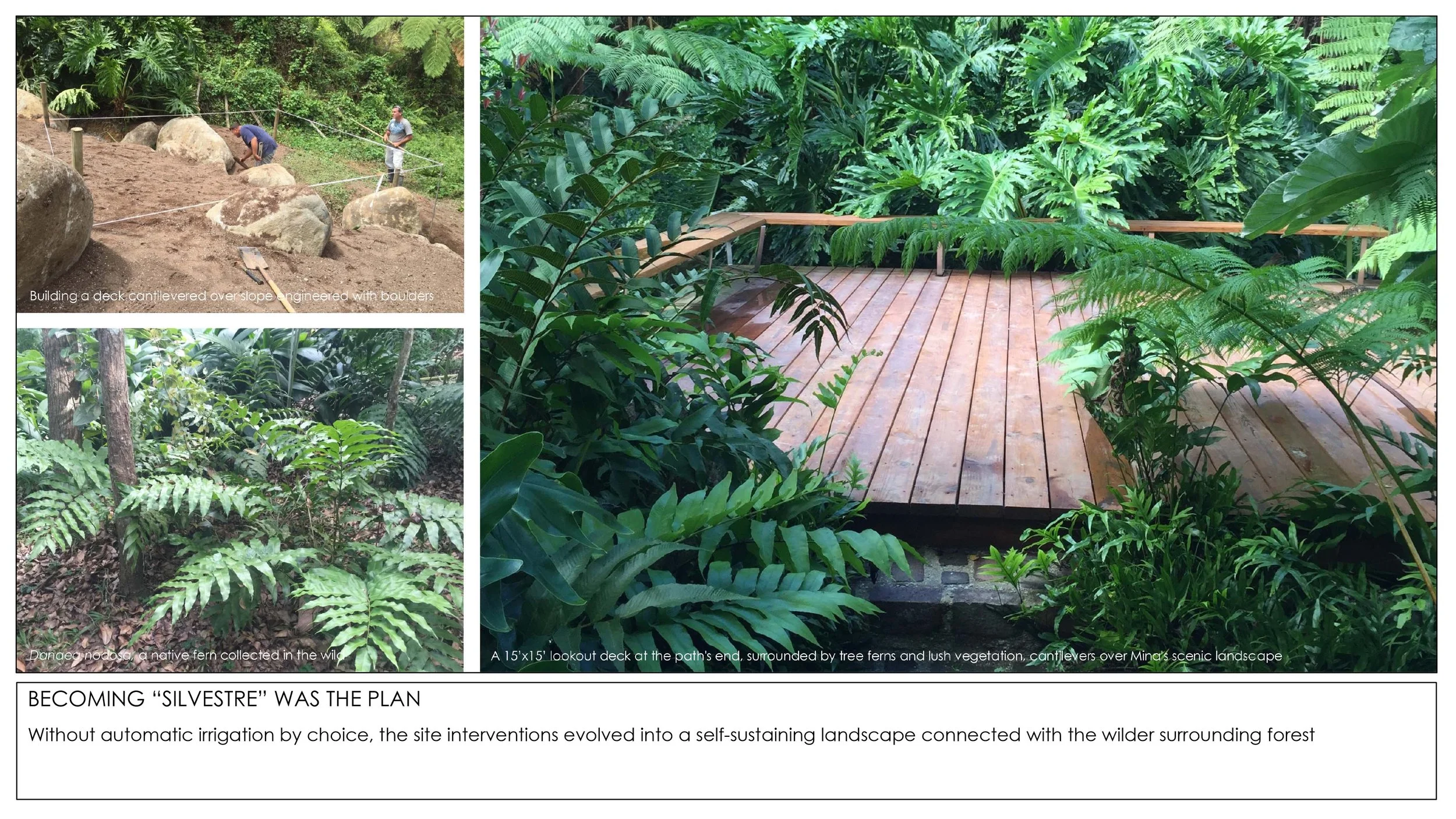 2026 Rainforest Interventions-13.jpg