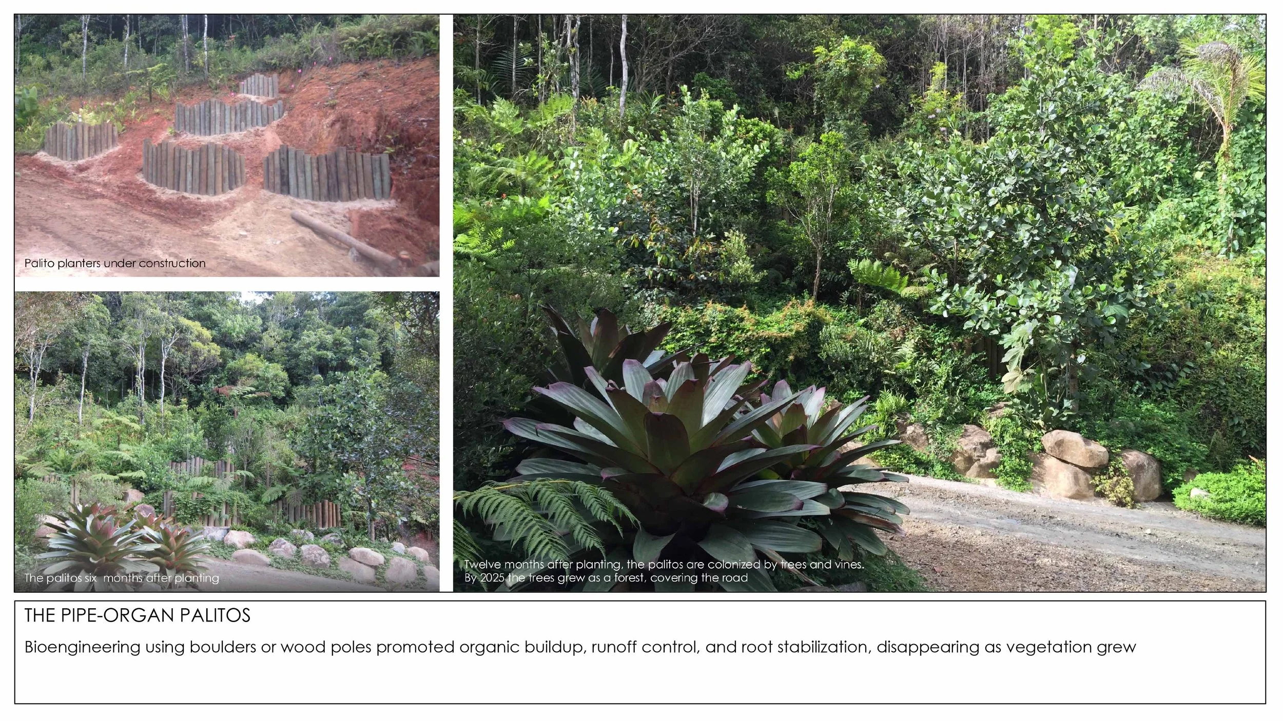2026 Rainforest Interventions-14.jpg