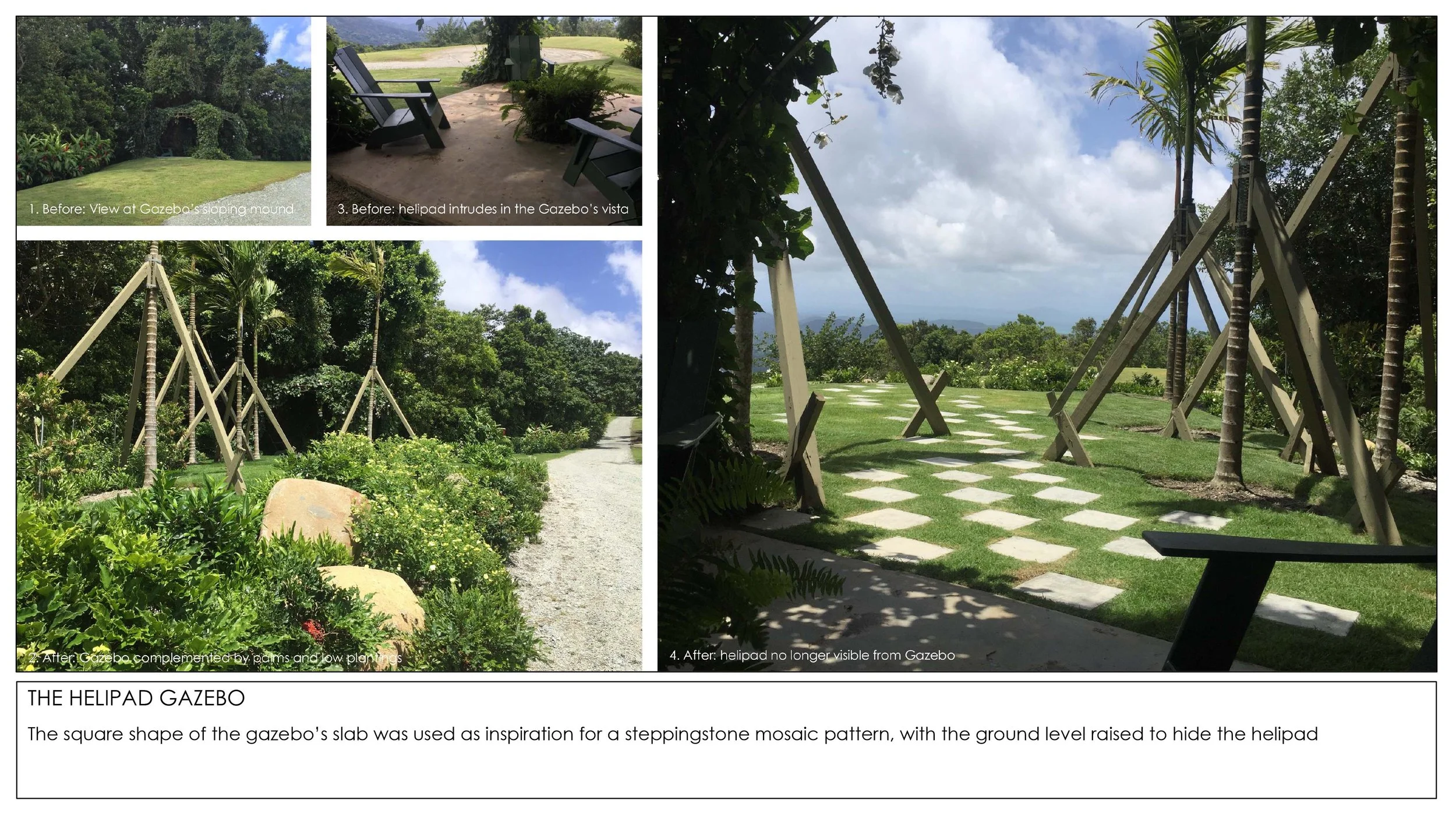 2026 Rainforest Interventions-15.jpg