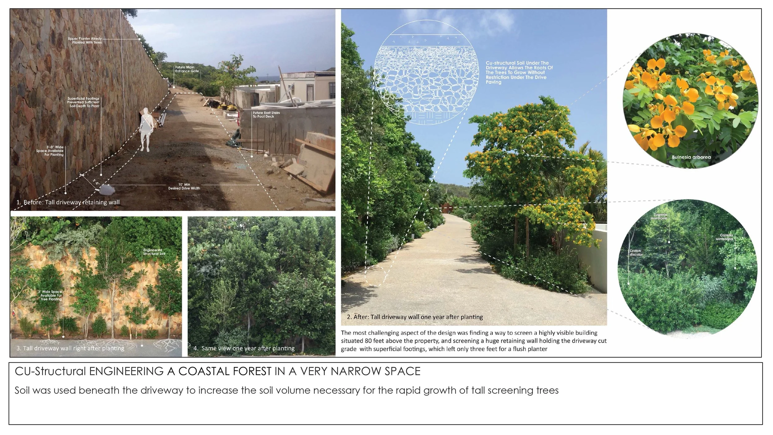 2026 THE TROPICAL NON GARDEN-6.jpg