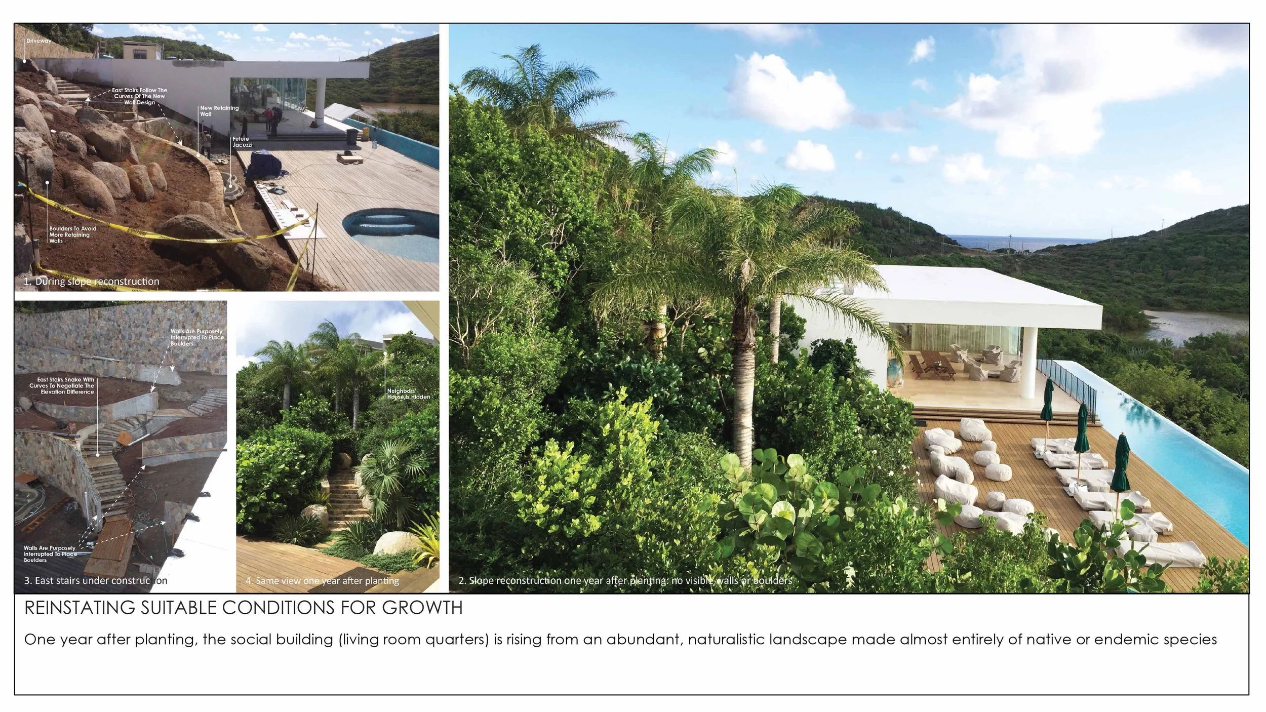 2026 THE TROPICAL NON GARDEN-7.jpg