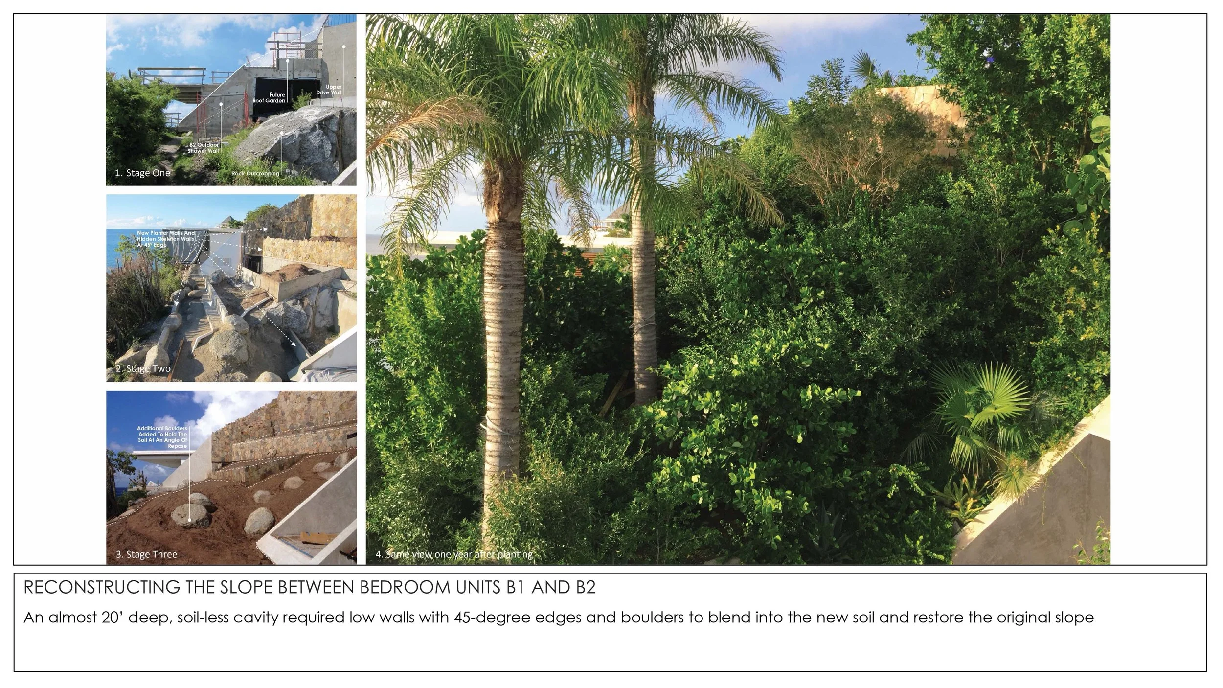 2026 THE TROPICAL NON GARDEN-9.jpg