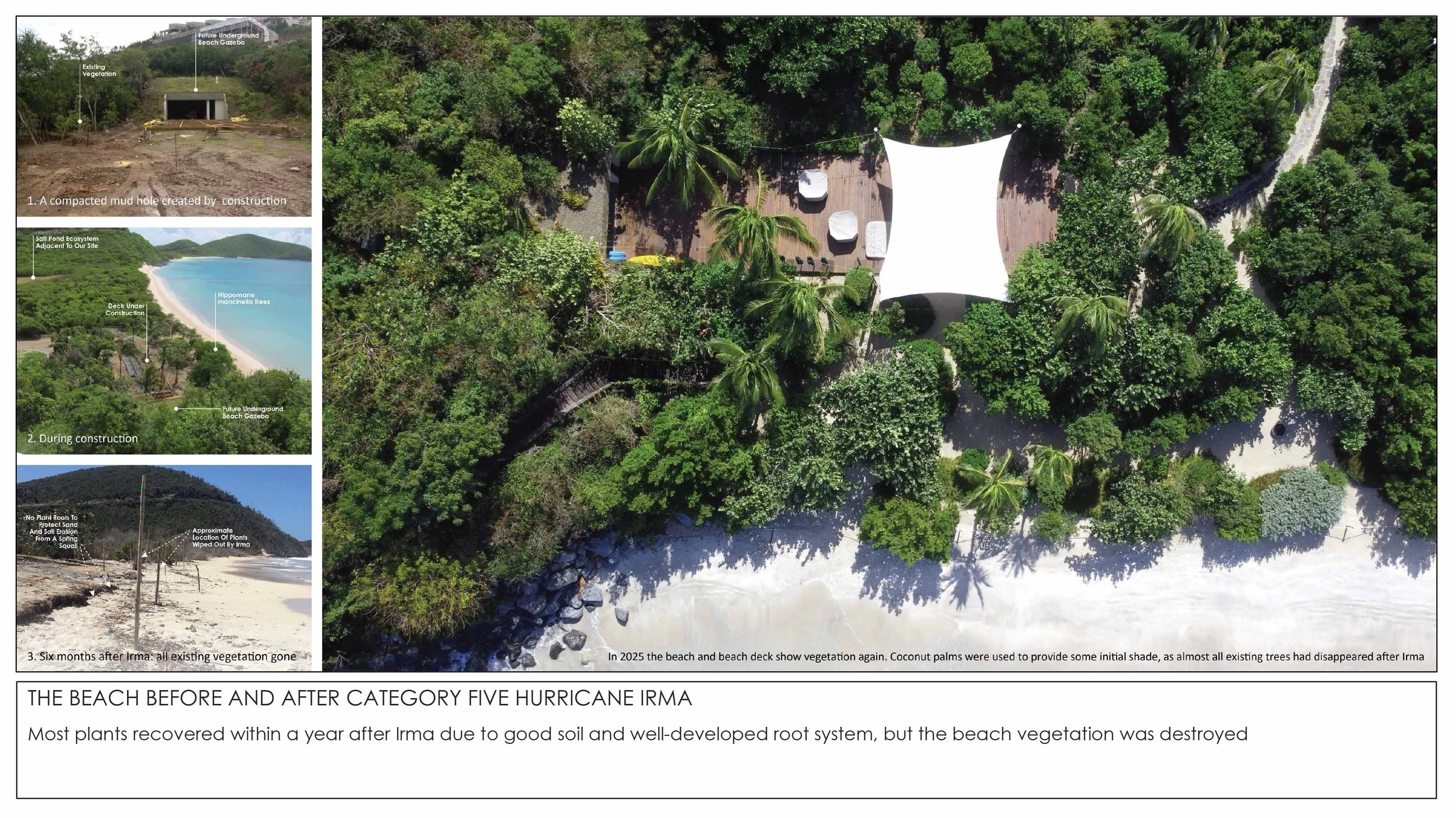 2026 THE TROPICAL NON GARDEN-14.jpg