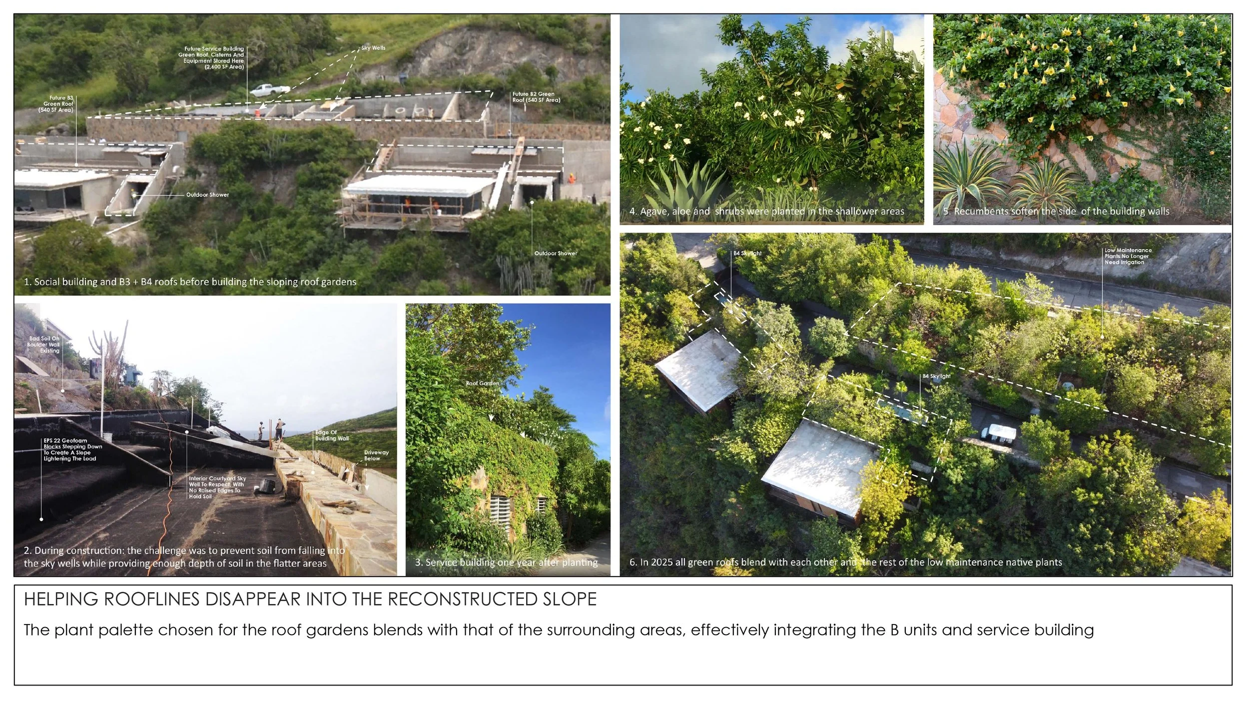 2026 THE TROPICAL NON GARDEN-15.jpg