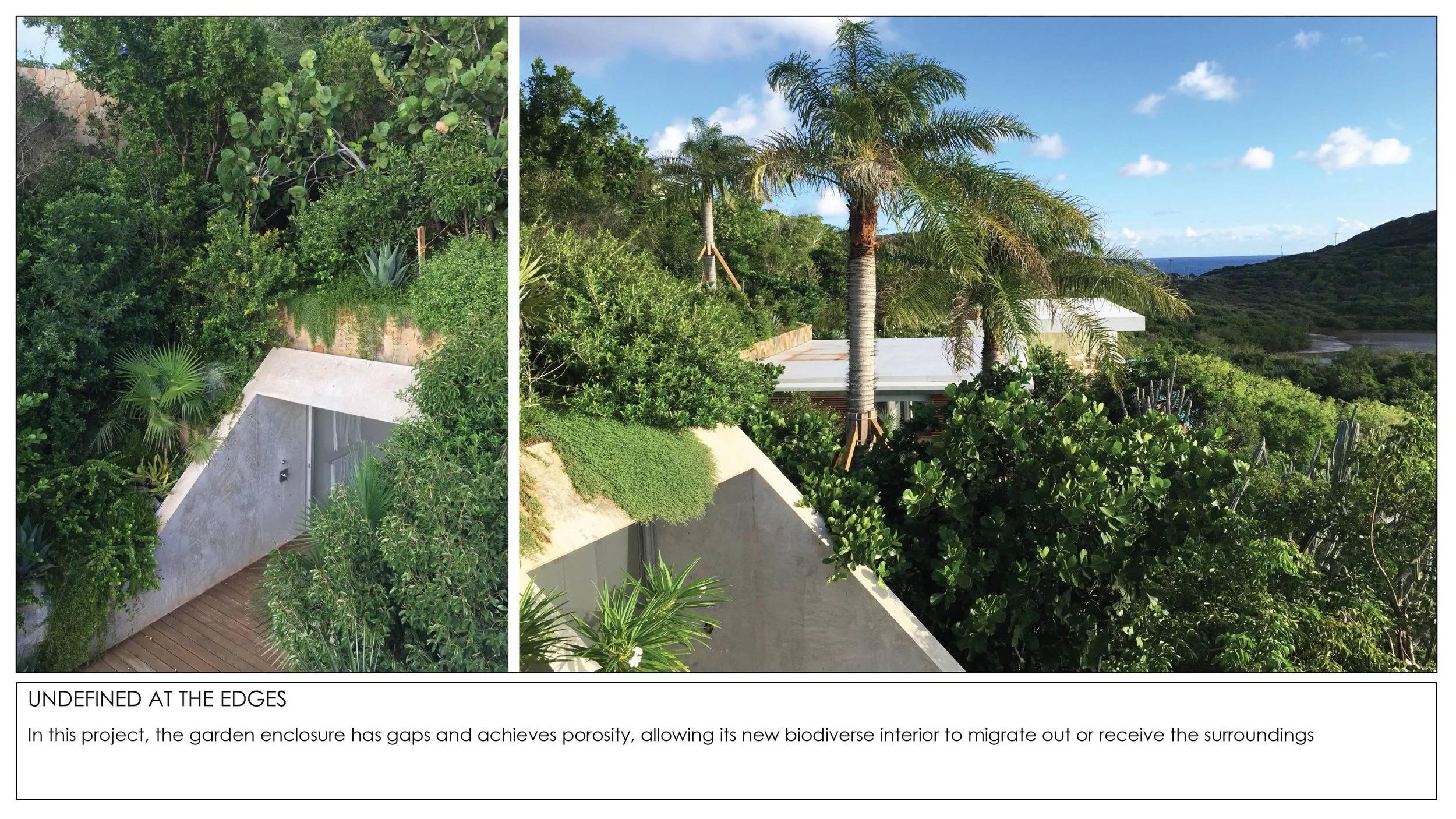 2026 THE TROPICAL NON GARDEN-16.jpg