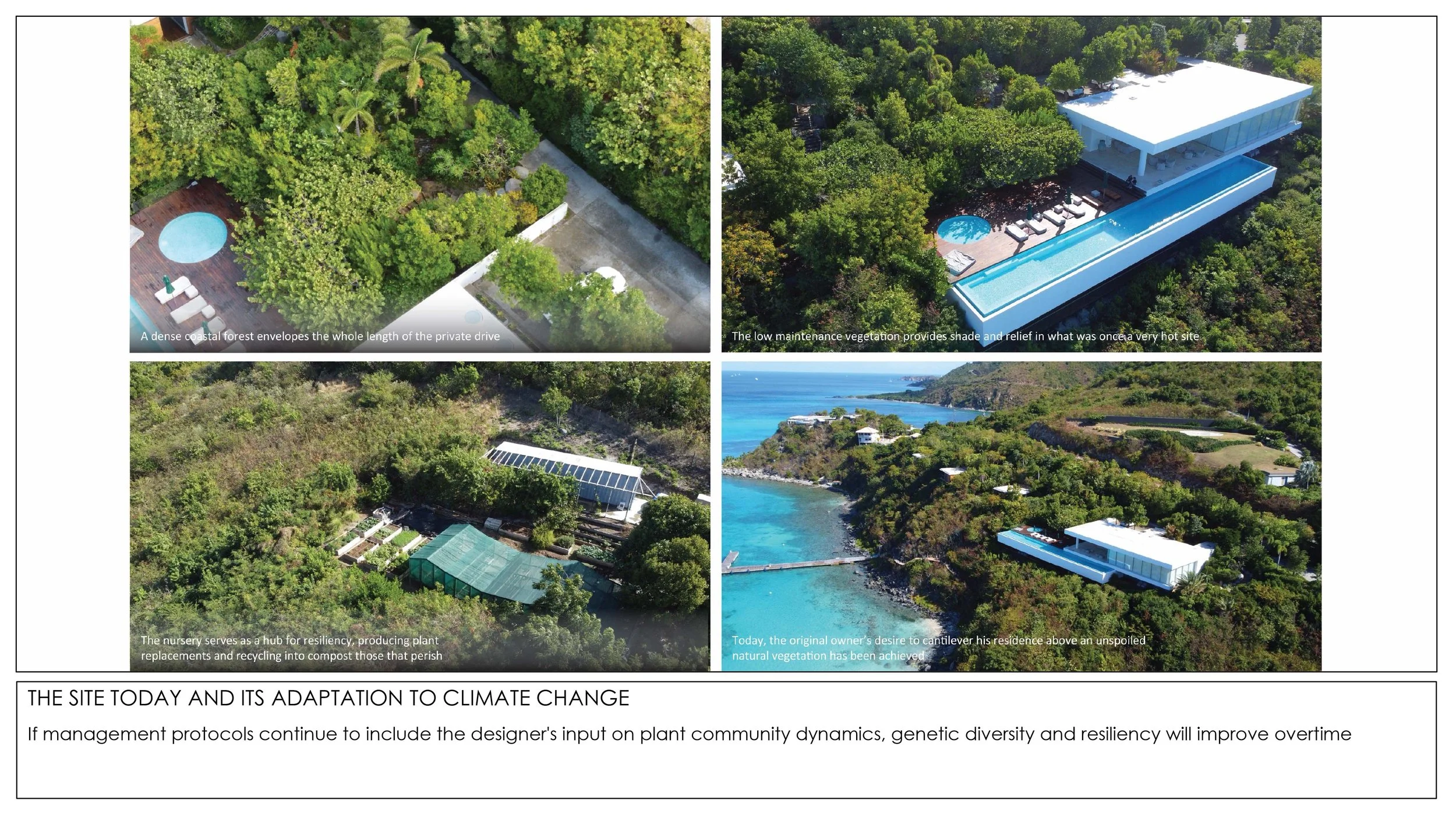 2026 THE TROPICAL NON GARDEN-17.jpg
