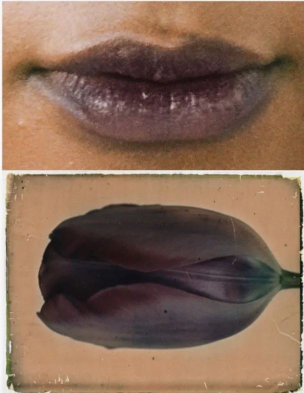 Close-up of closed lips with purple lipstick above a purple flower bud.