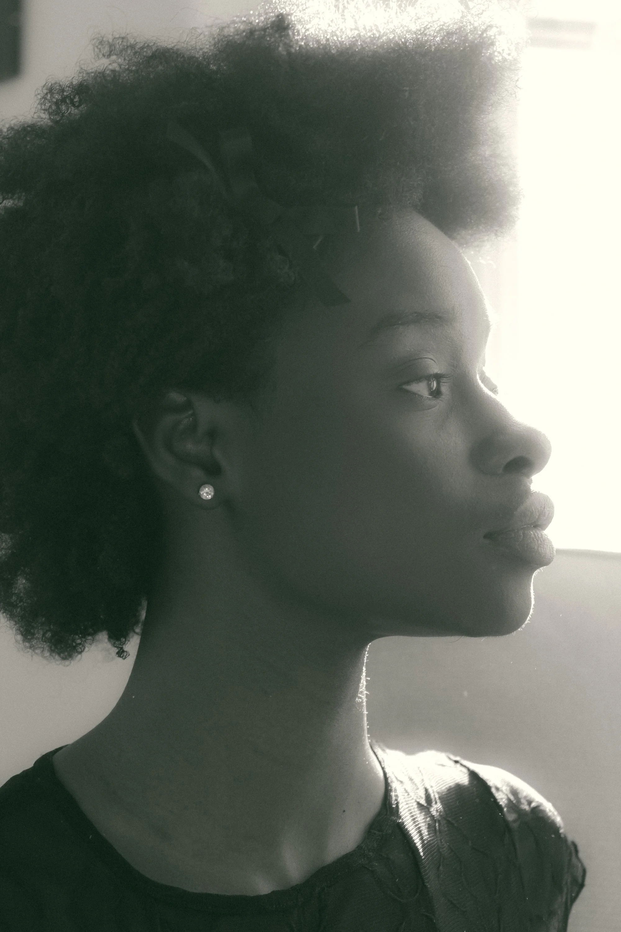 In A Hush — abigail tulenko