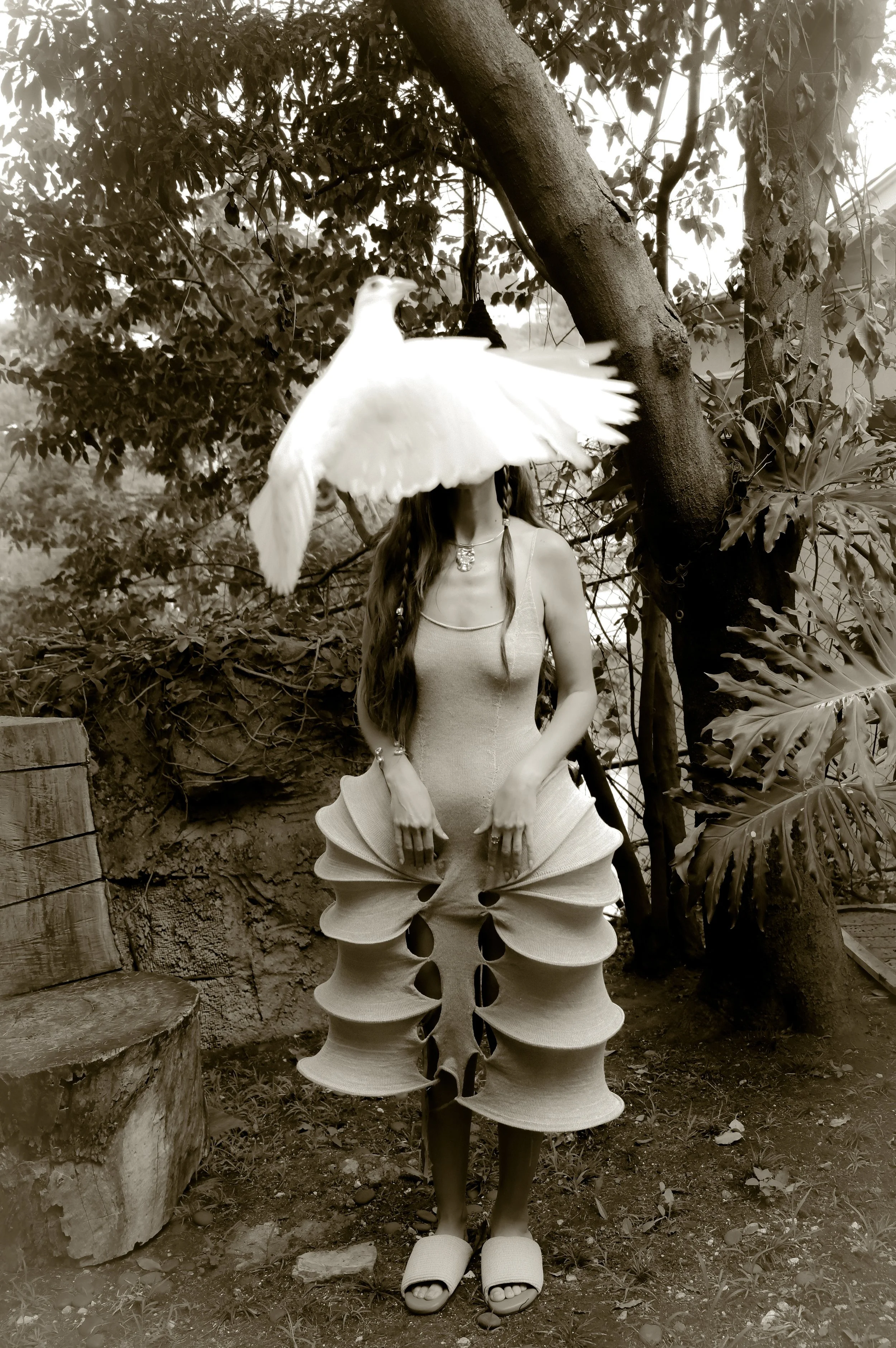 A person sitting outdoors under a tree with a white dove perched on their head. The person's face is obscured by the bird. They are wearing a sleeveless top, loose pants with large cutouts, and slippers. The scene is in black and white.