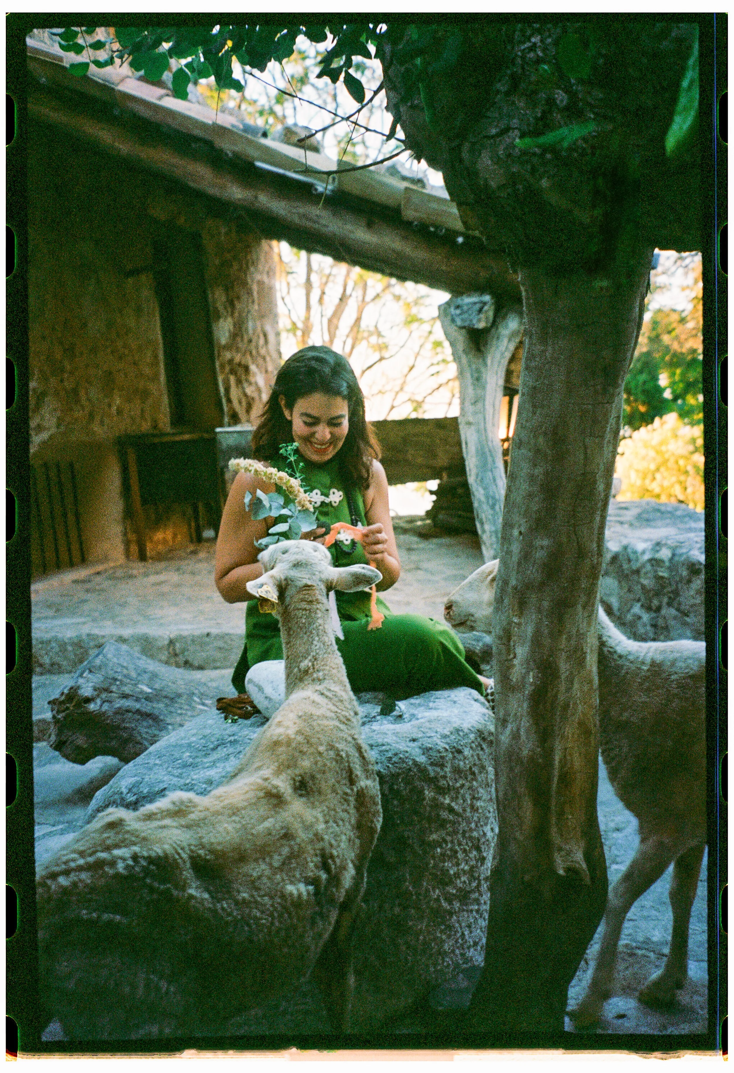 A woman sitting on rocks outdoors, smiling and holding a bouquet of flowers, with two lambs near her and trees in the background. mallorca destination wedding Shot on 35mm film