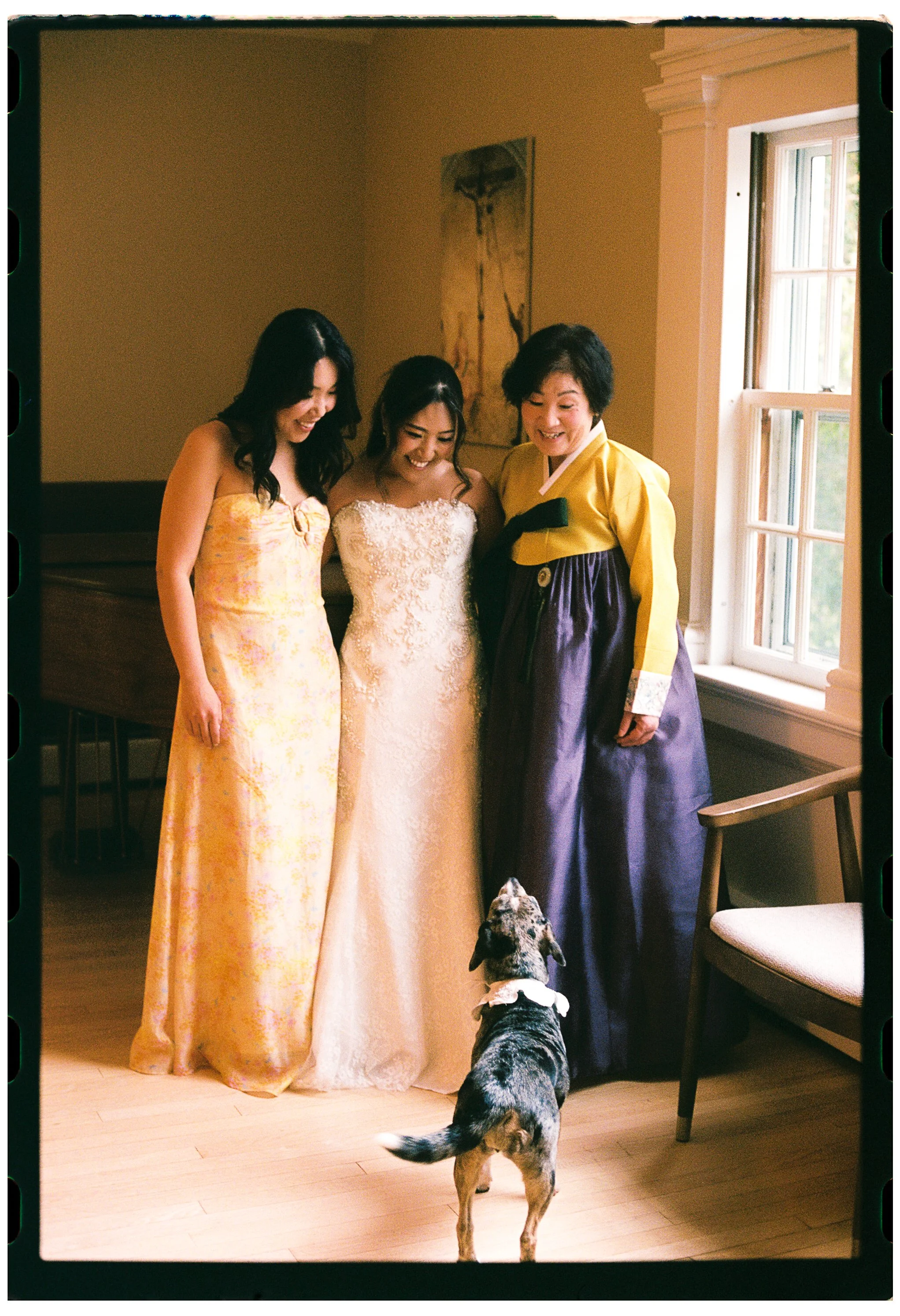 Three women in elegant dresses smiling and looking at a small dog indoors near a window, with artwork on the wall.