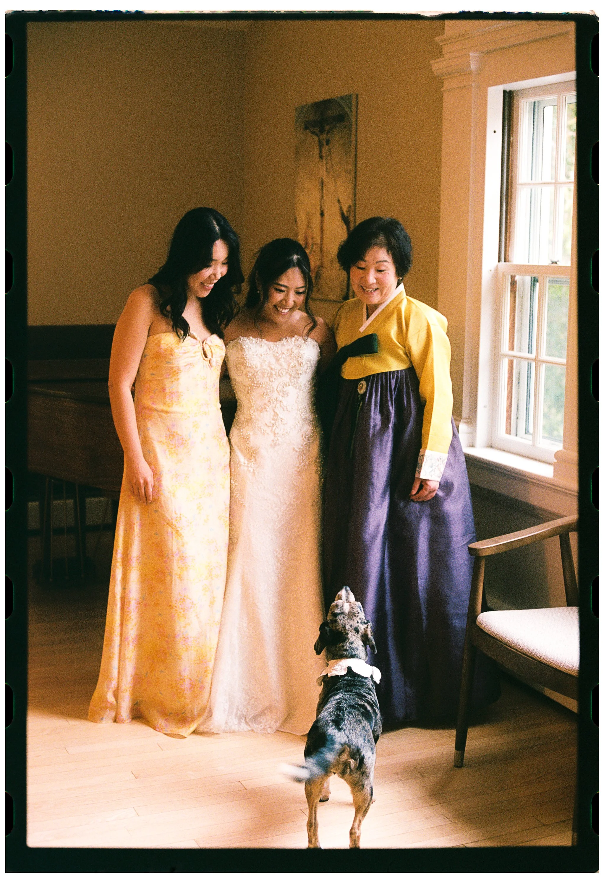Three women dressed in traditional Korean hanbok and a dog with a black and white coat with brown legs inside a room with wooden flooring and a large window. The women are smiling and looking down at the dog, which is looking up at them.