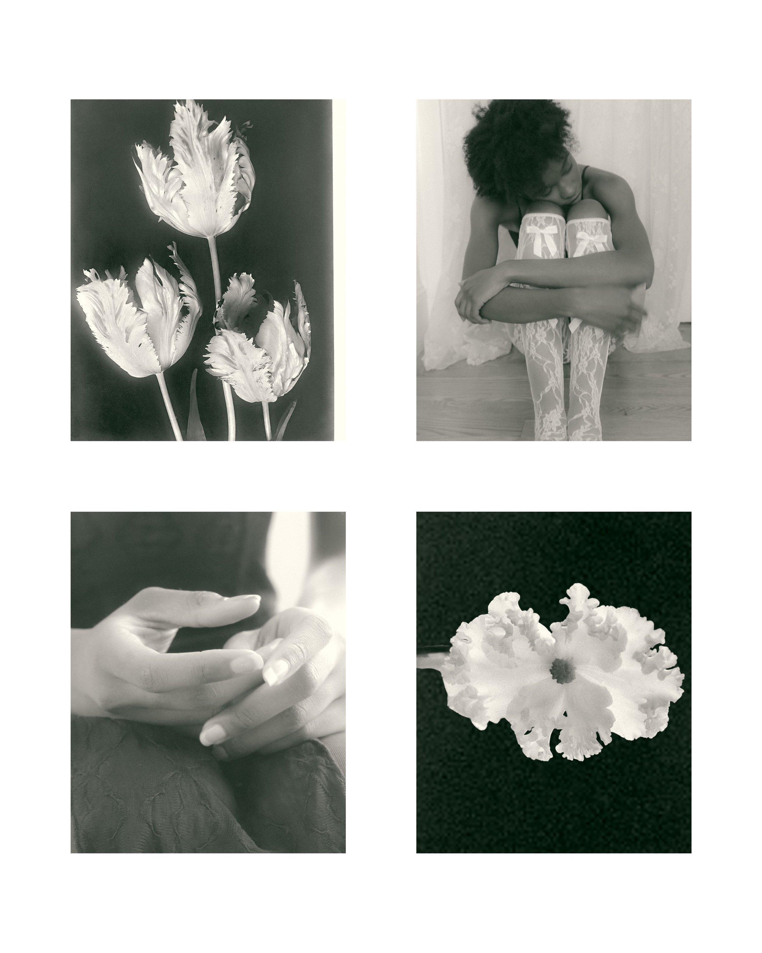 Tulenko studies — abigail tulenko