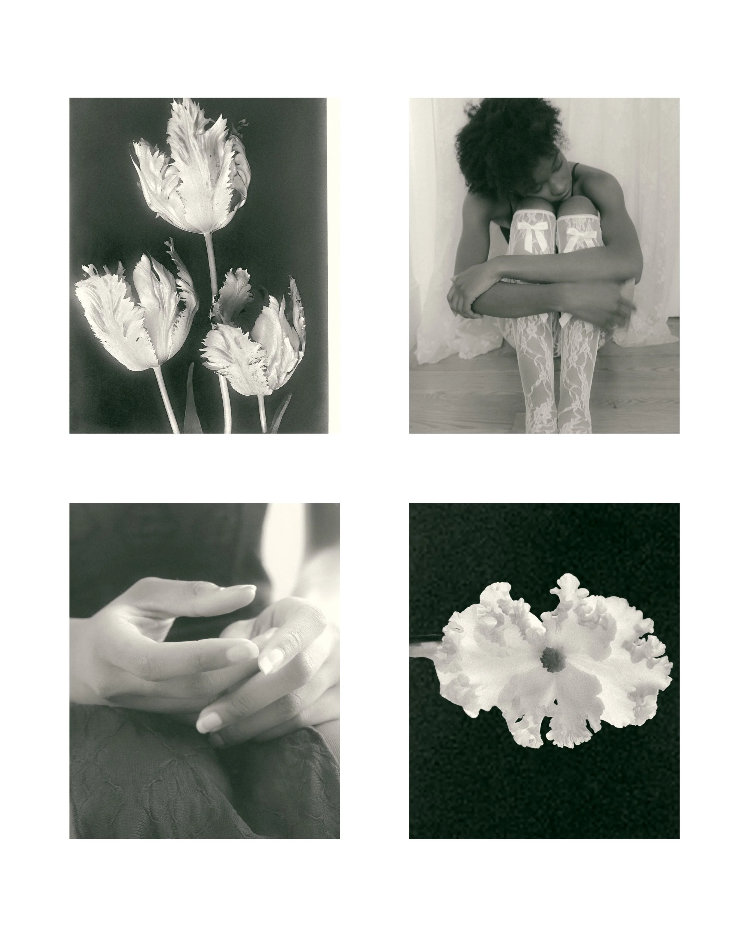 studies — abigail tulenko