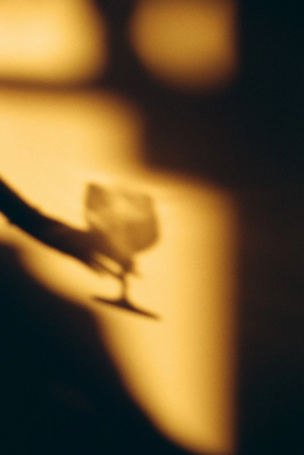 000005880006(3) (1).jpg