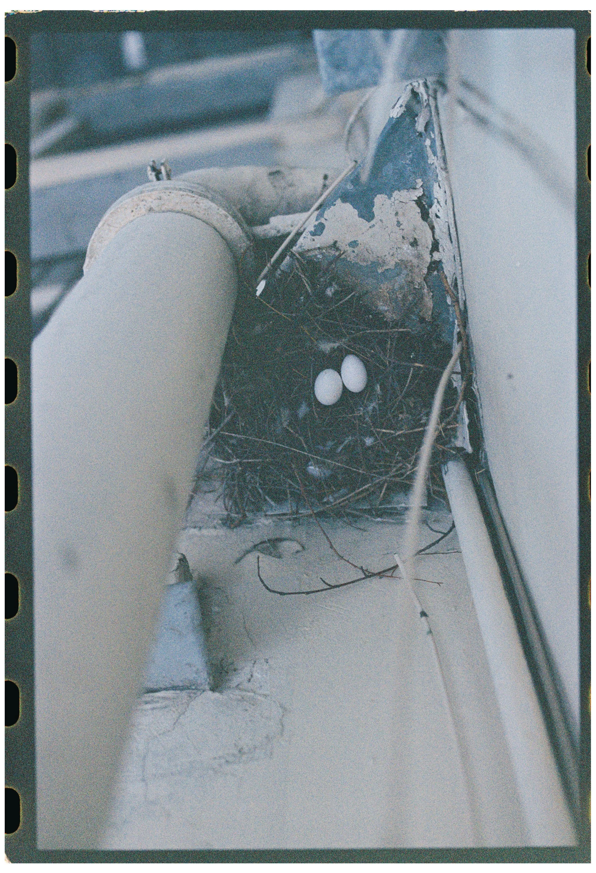 A damaged black object with peeling paint, two white eggs on top, and dried twigs visible underneath, all placed on a white surface.