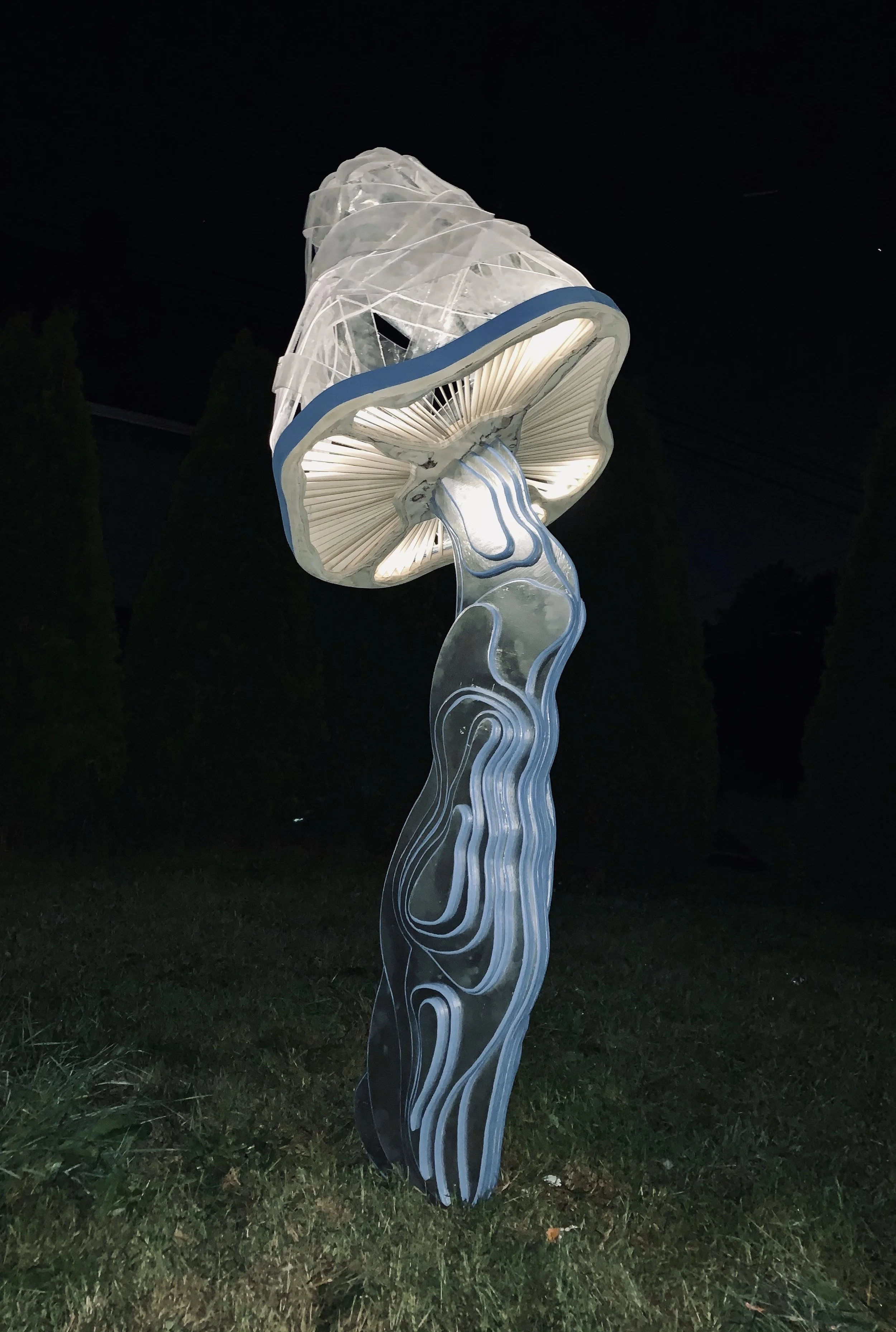 _.JPG