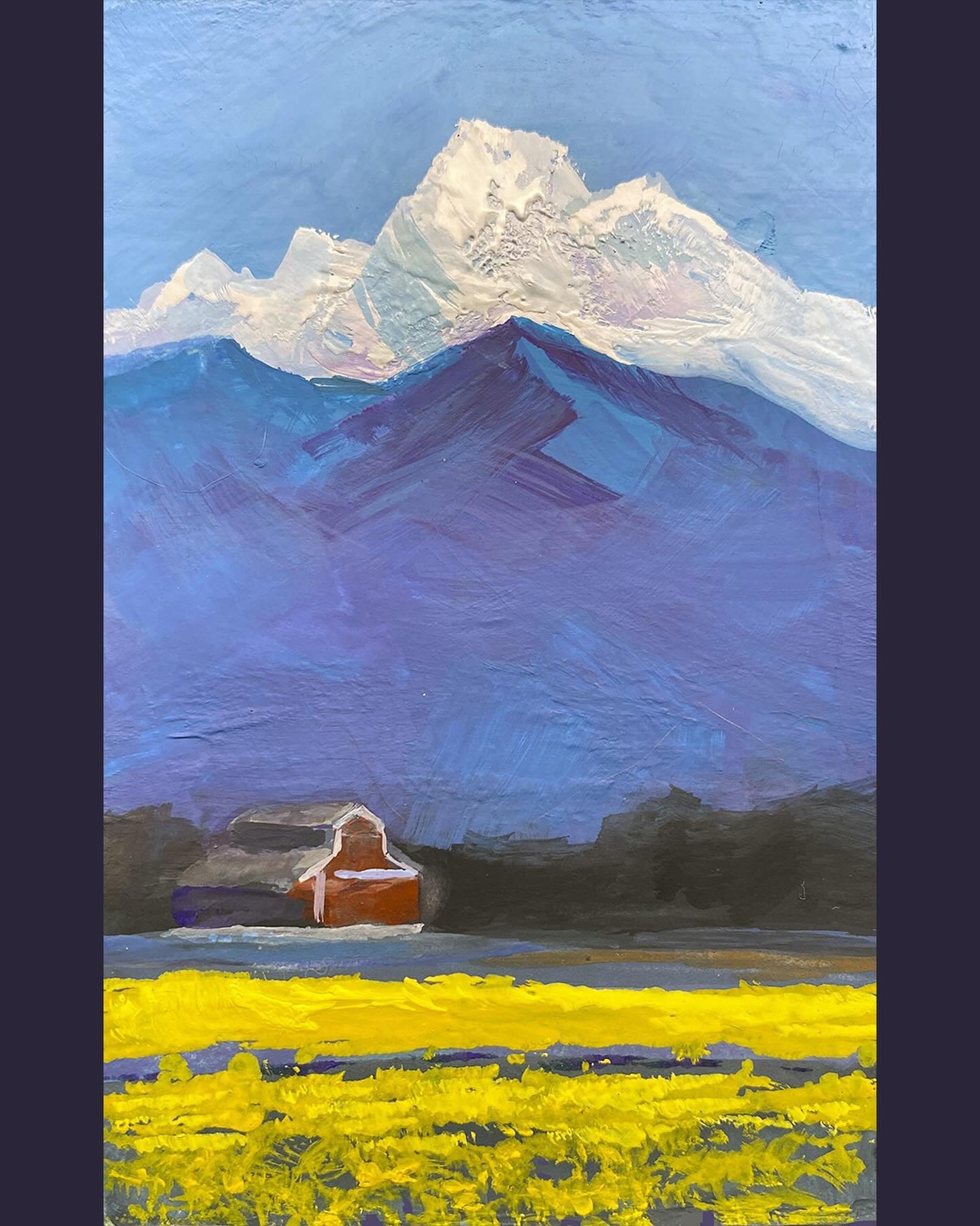 Daffodil fields and Mt. Baker #PleinAirpril 19 #gouache #landscapepainting #seattleart