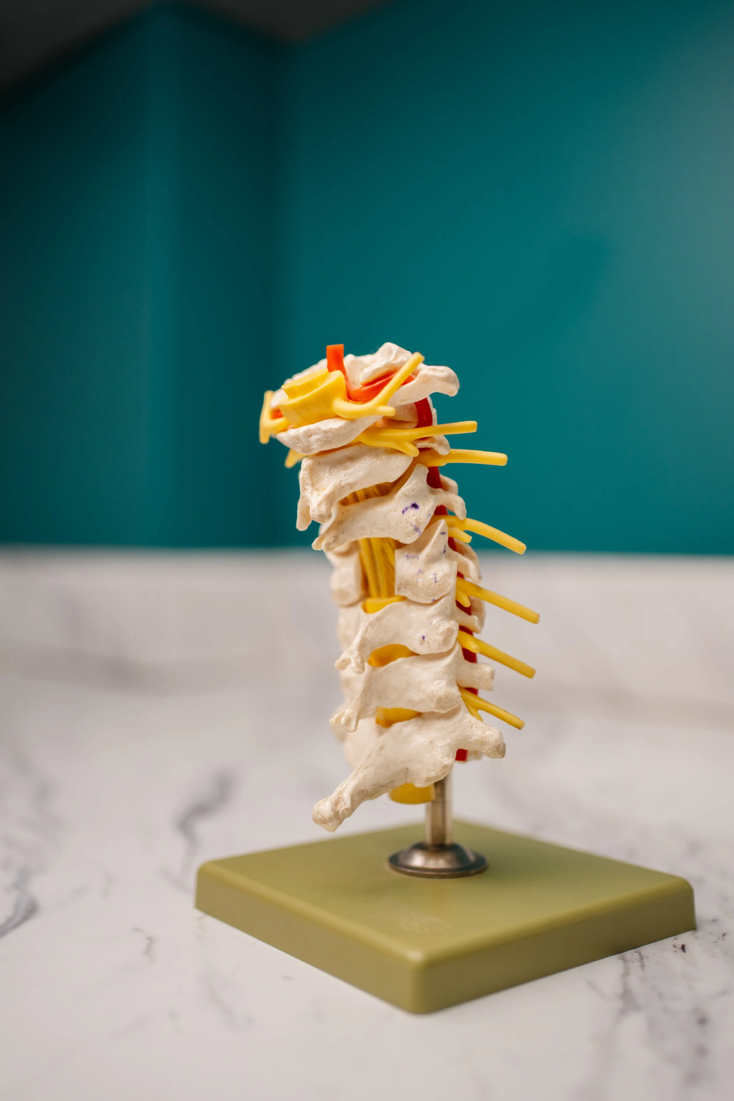Spine pain and problems at ortho san antonio  back and neck pain