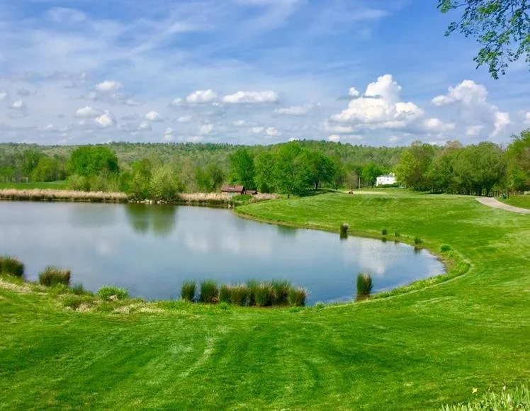 A scenic golf course with a small pond, lush green grass, trees, and a clear blue sky with clouds.