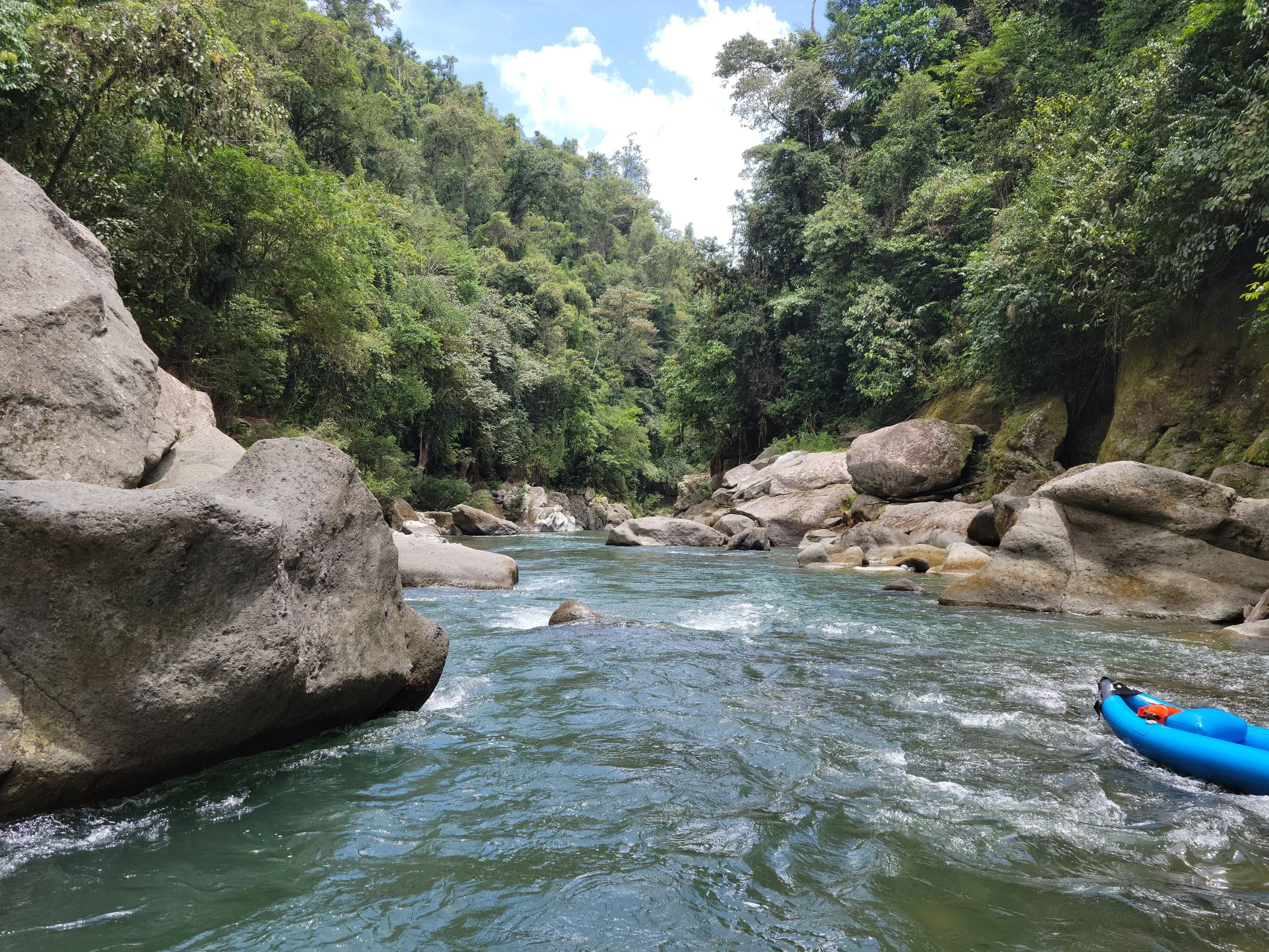 the downstream horizon