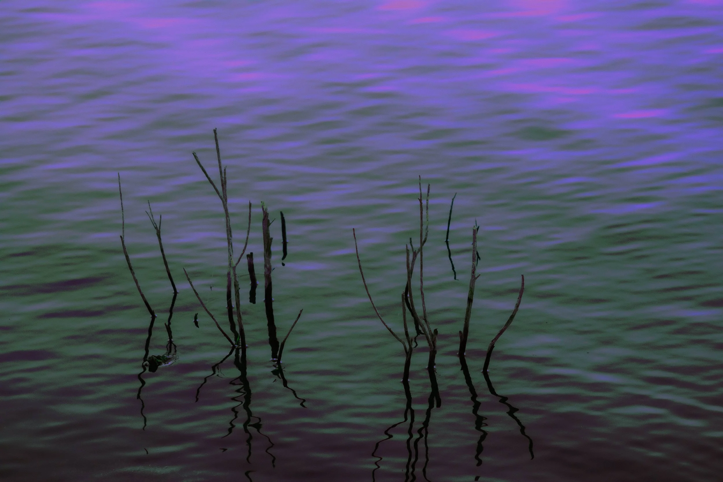 Abstract