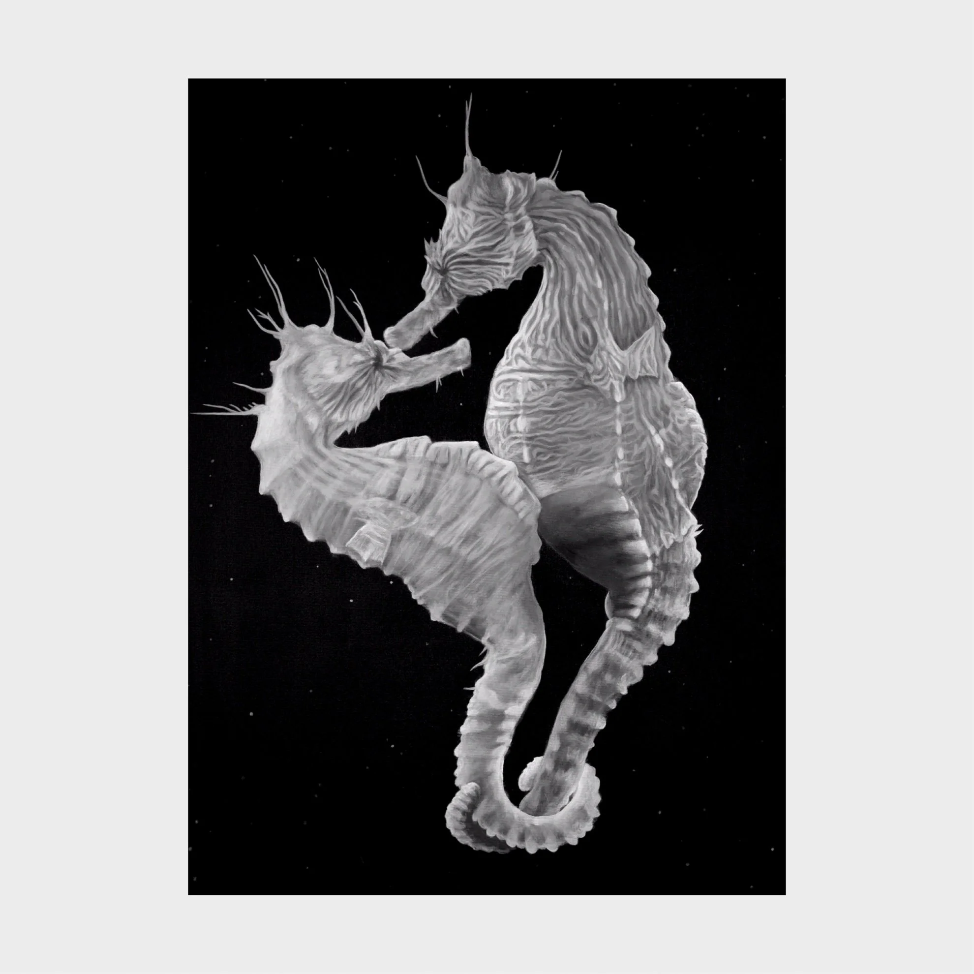 High Seas Four Print Bundle