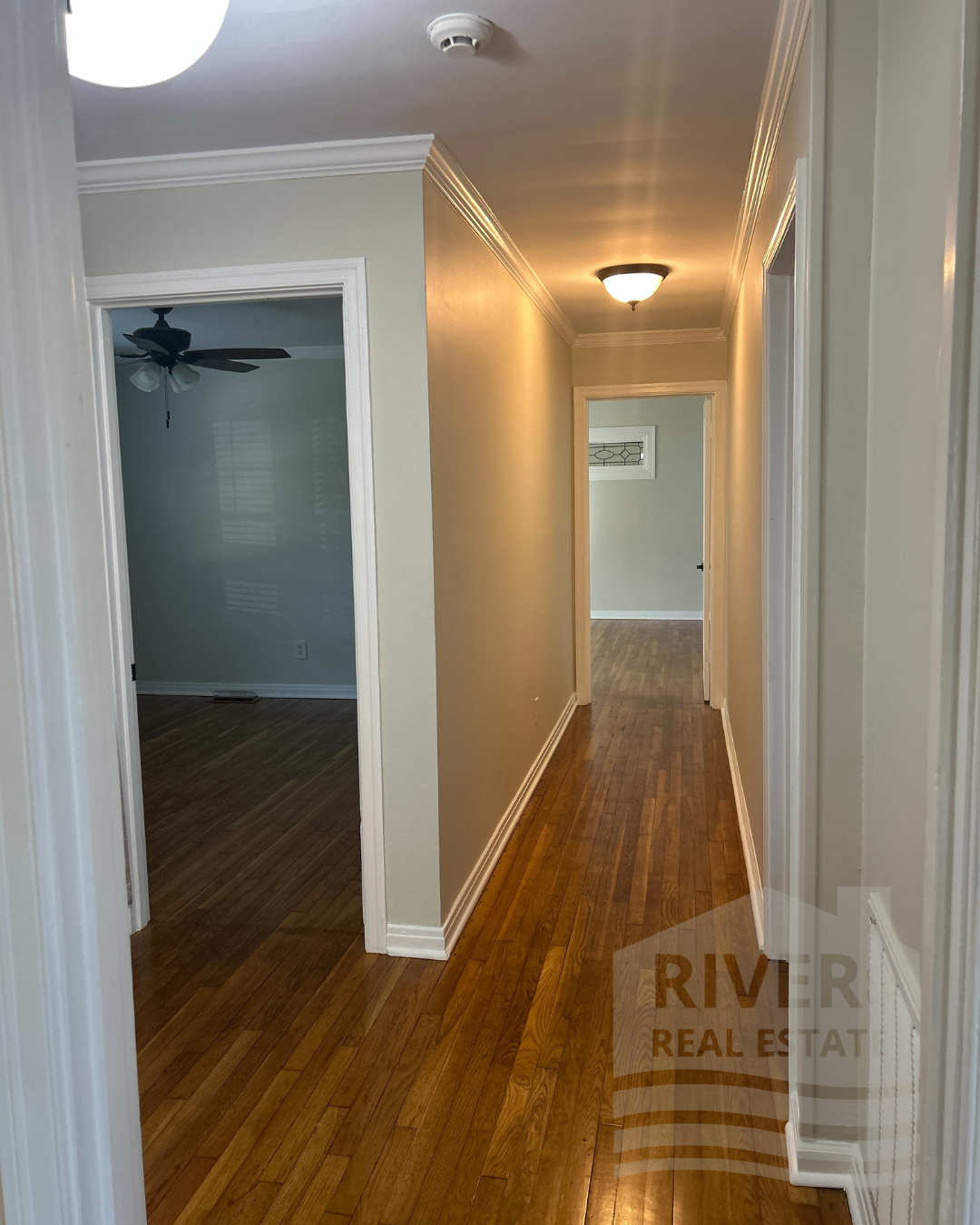 Untitled design (21).png