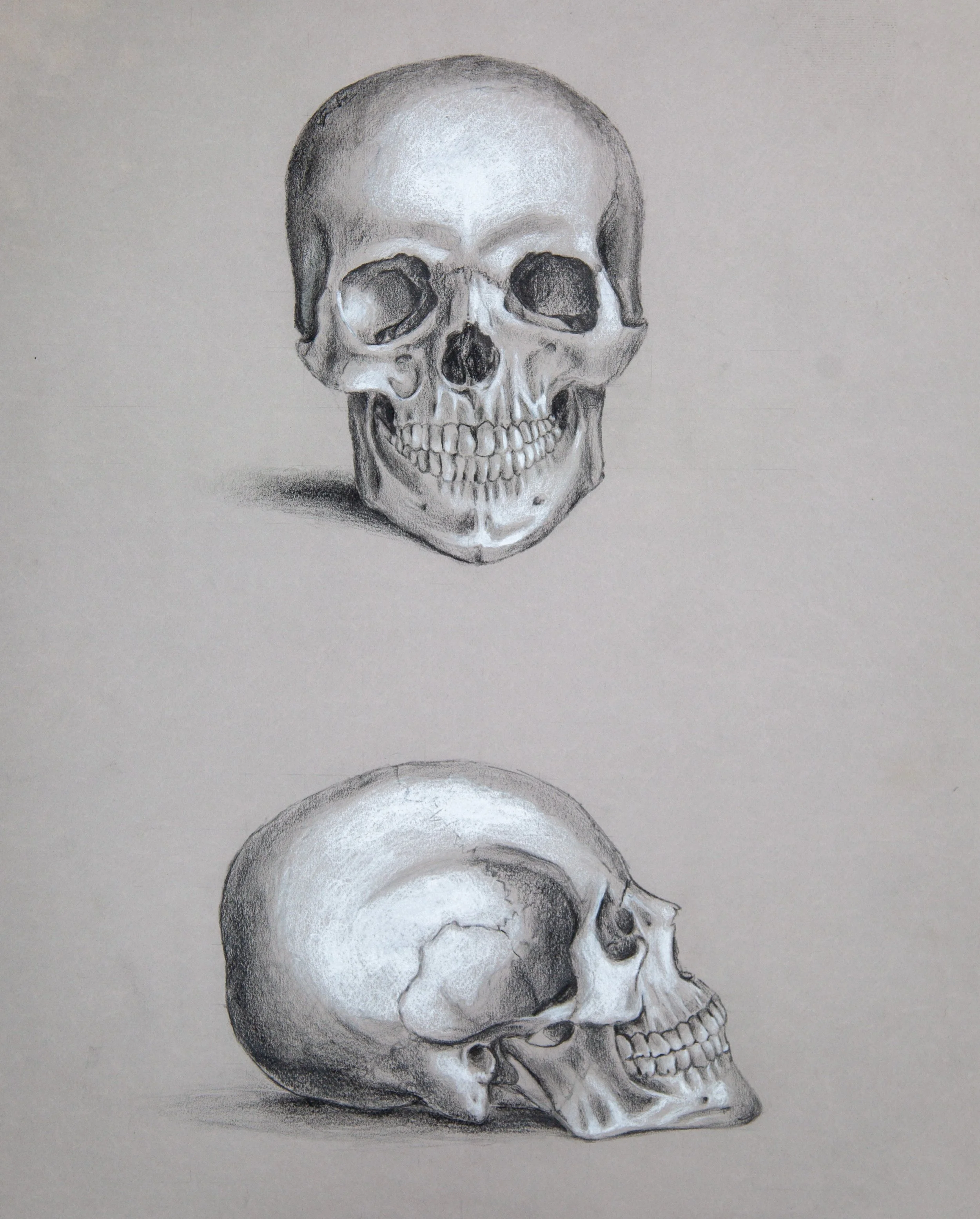 Skull_Study_Ackeem.jpg