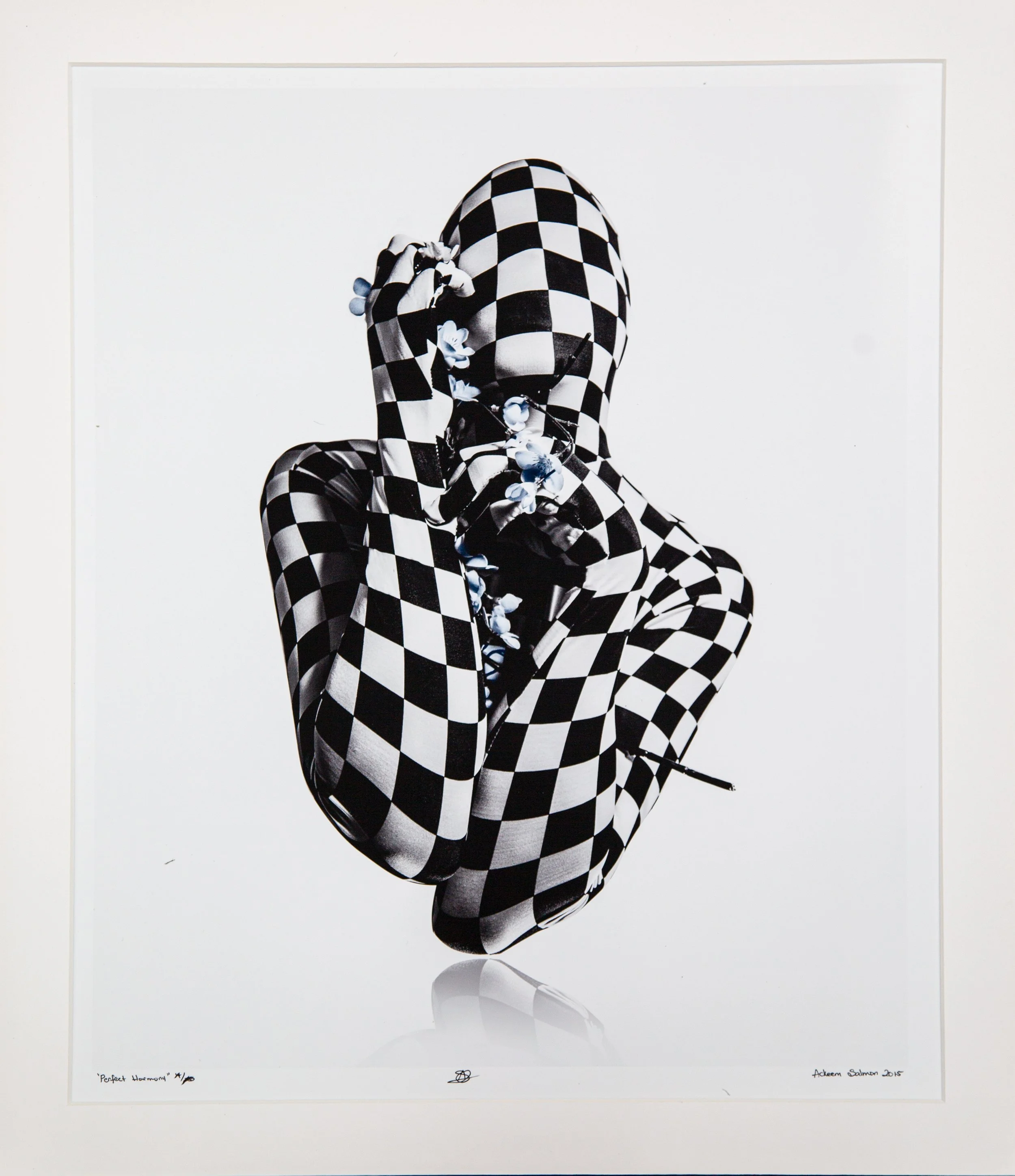 Perfect Harmony, 2015