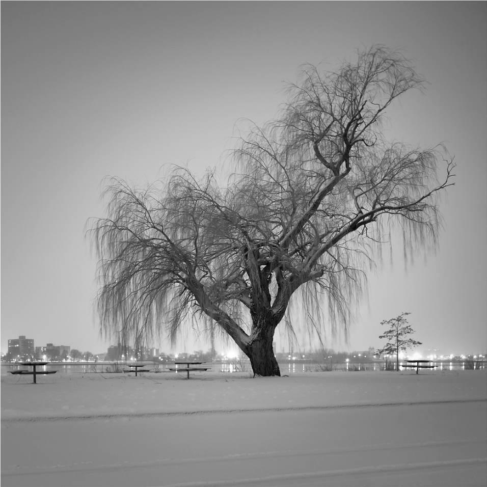 Screenshot 2026-02-07 at 1.37.11 PM.png