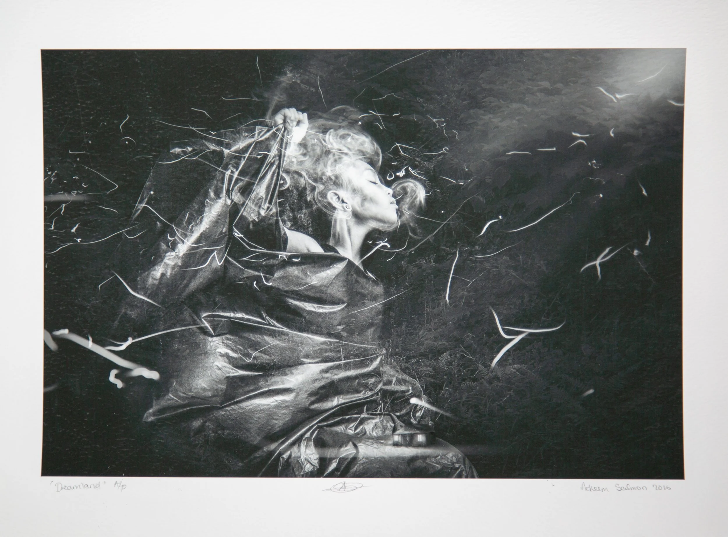 Dreamland, 2014