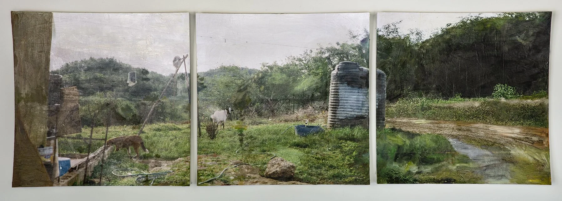 Grandma's Landscape, 2019 - 2025