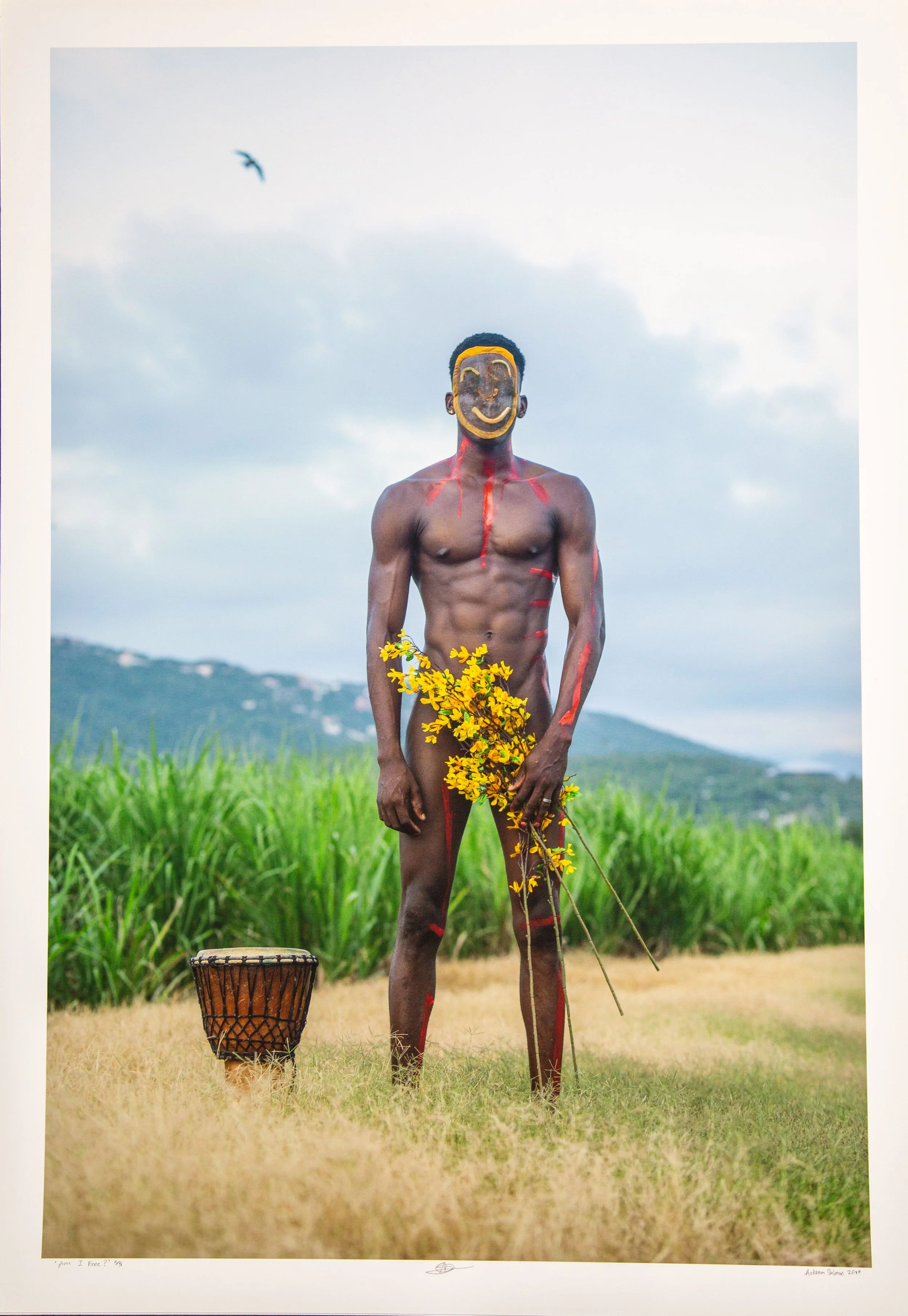 Am I Free?, 2019