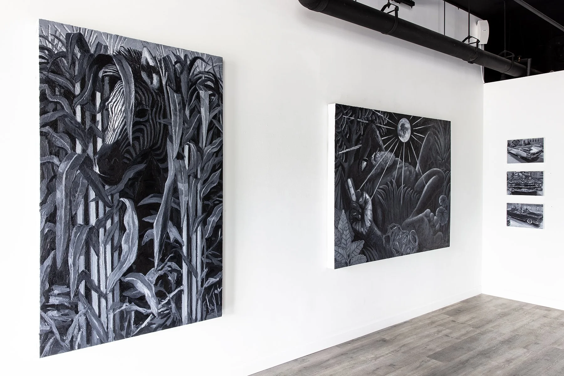 ZebraIntelligenceGallery_008.jpg