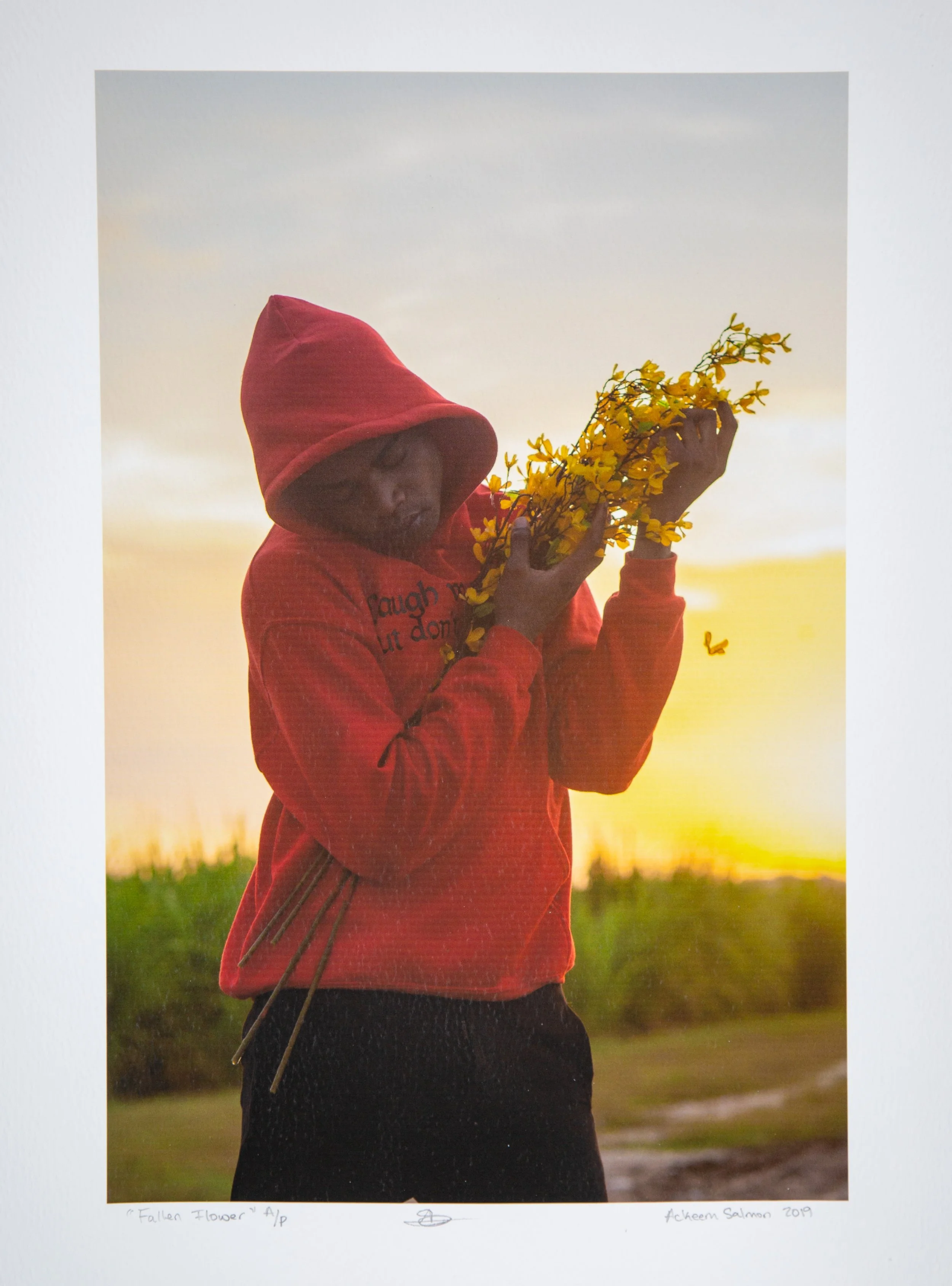 Fallen Flower, 2019