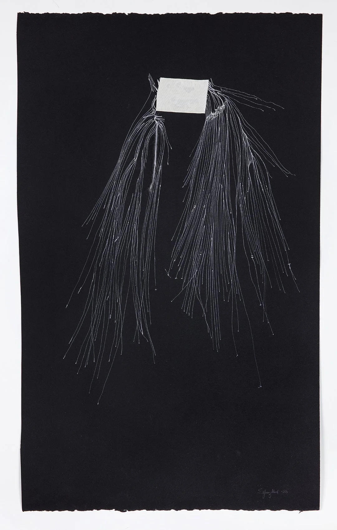 ElizabethYoungblood_Art_012 (1).jpg