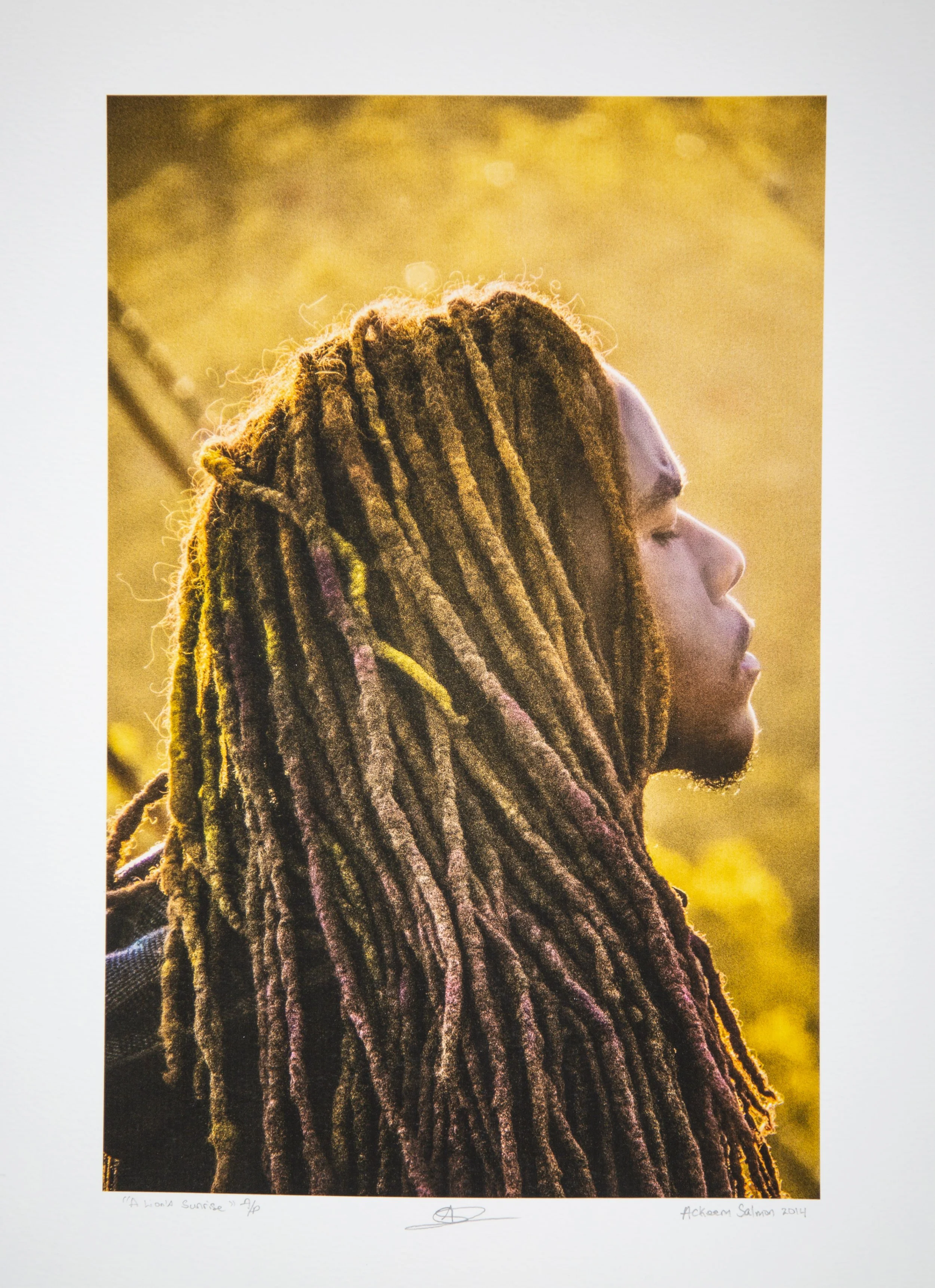 A Lion's Sunrise, 2014