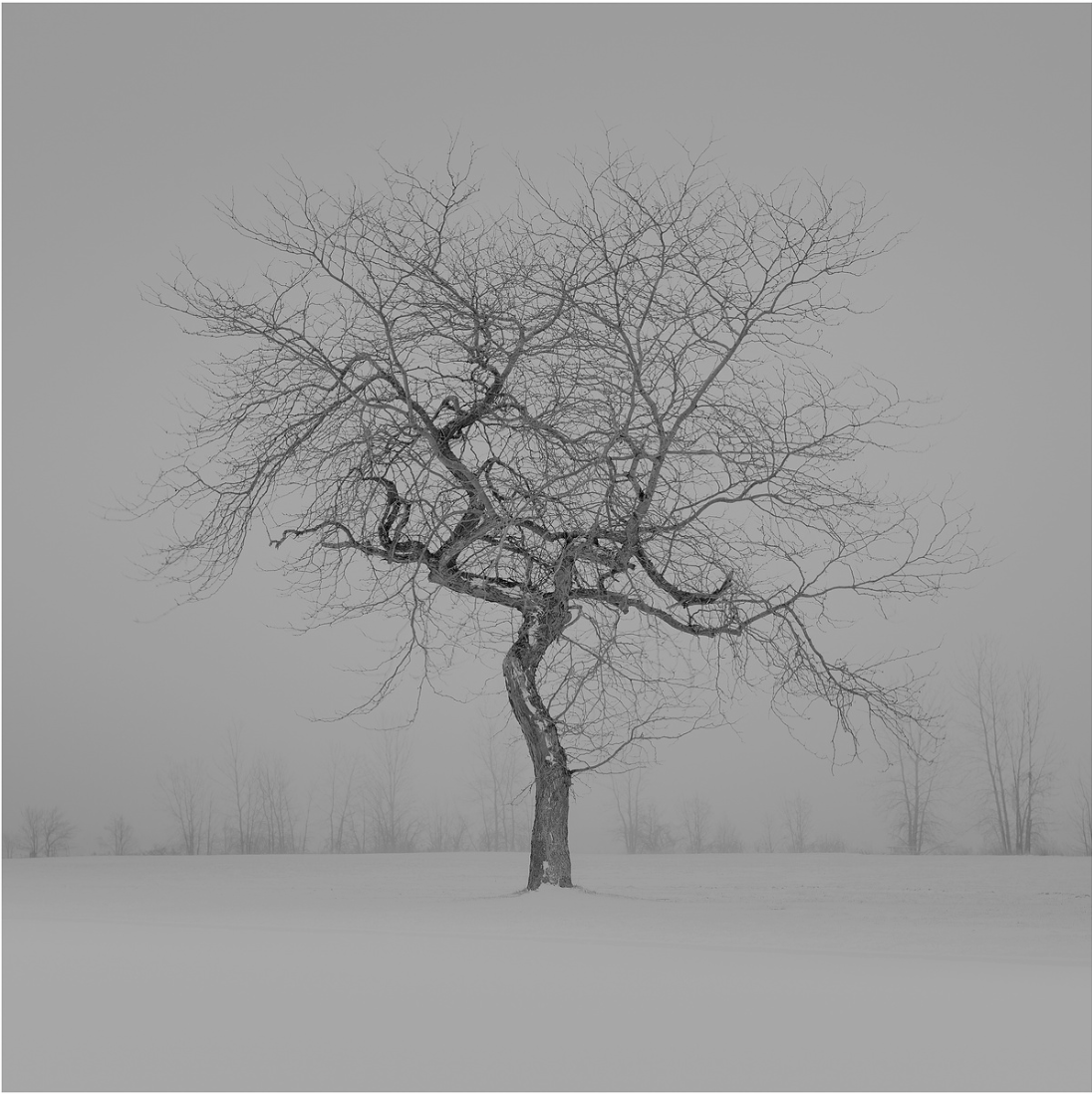 Screenshot 2026-02-07 at 1.36.58 PM.png