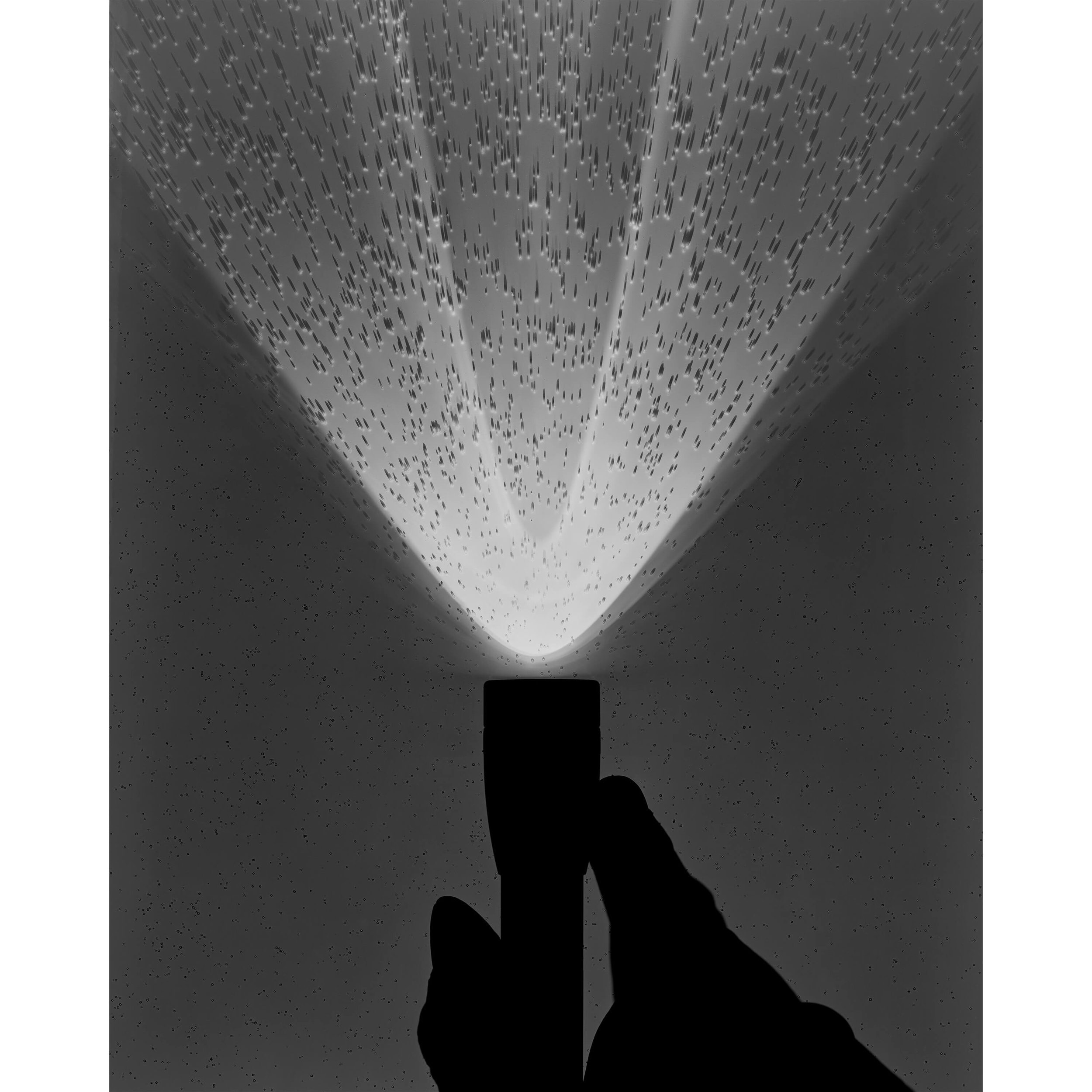 Cliché Verre and Photograms