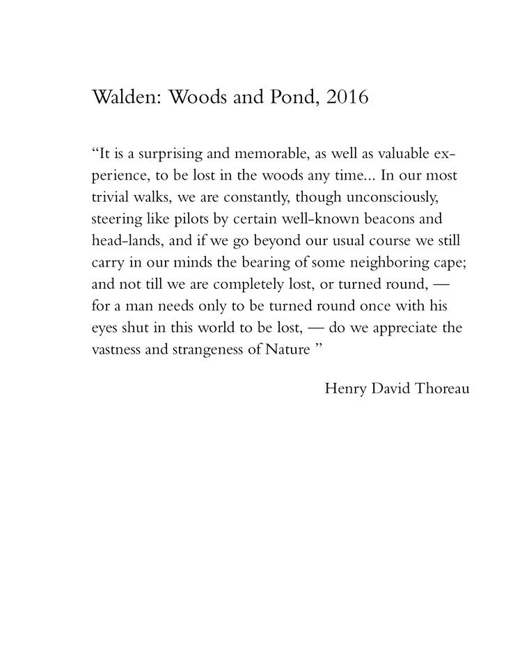 Walden: Woods and Pond, 2016