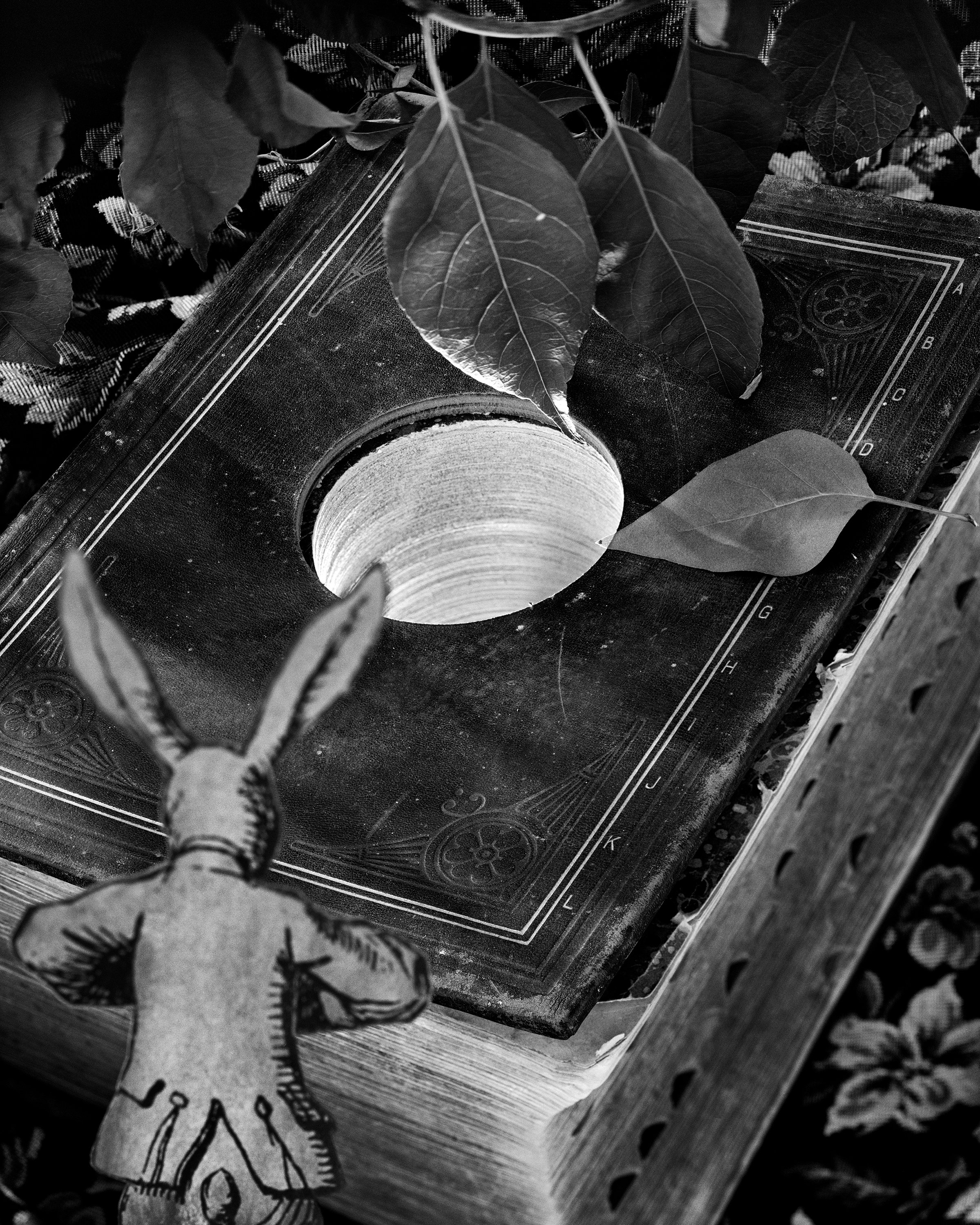 Alice in Wonderland — Abelardo Morell