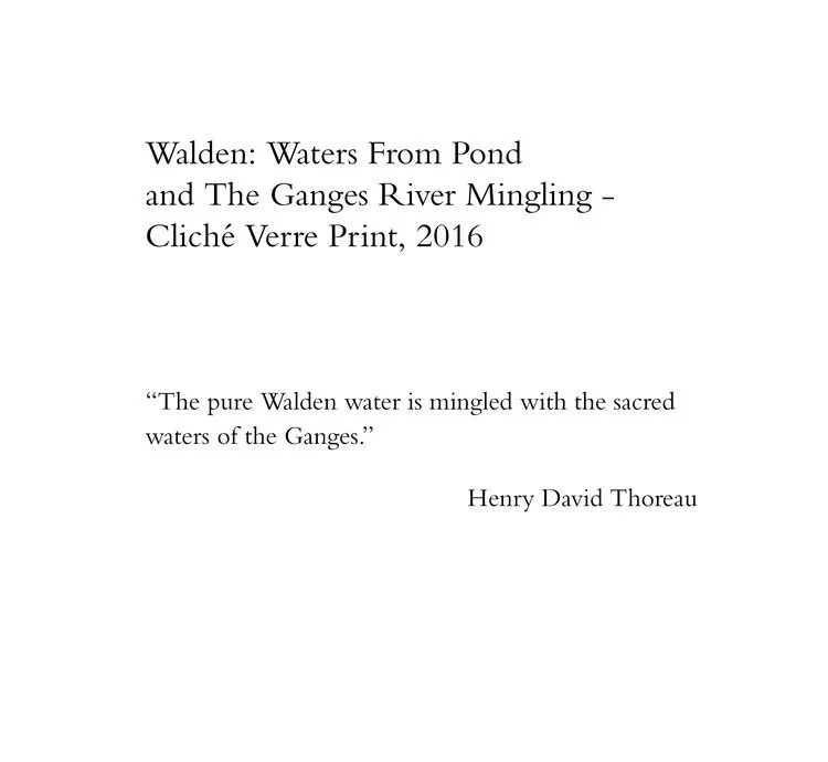 Walden: Waters from Pond and The Ganges River Mingling, Cliché Verre Print, 2016
