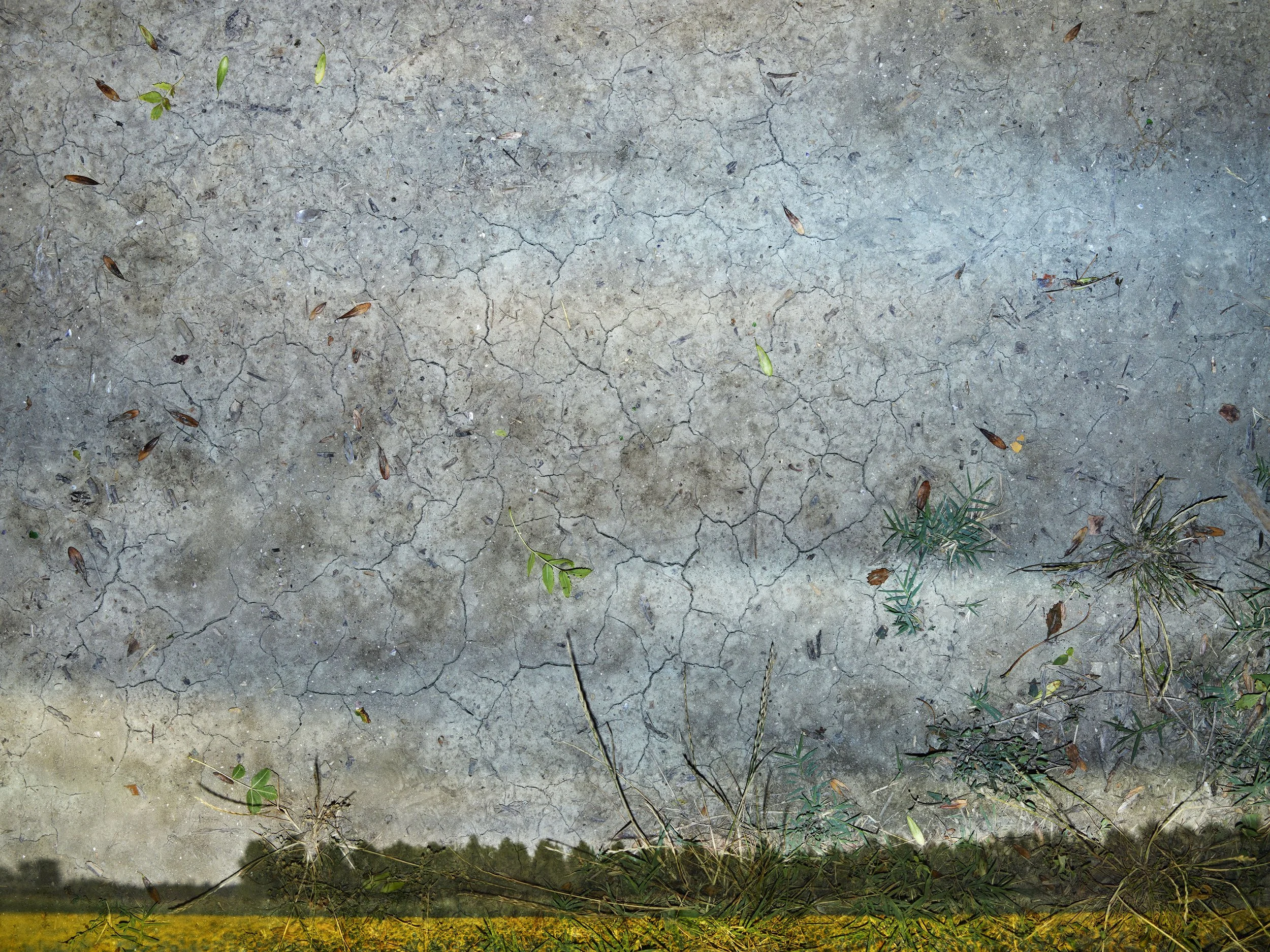 Tent-Camera Image: Cloudy Skies with Sunflower Field, Near Arles, France, 2022