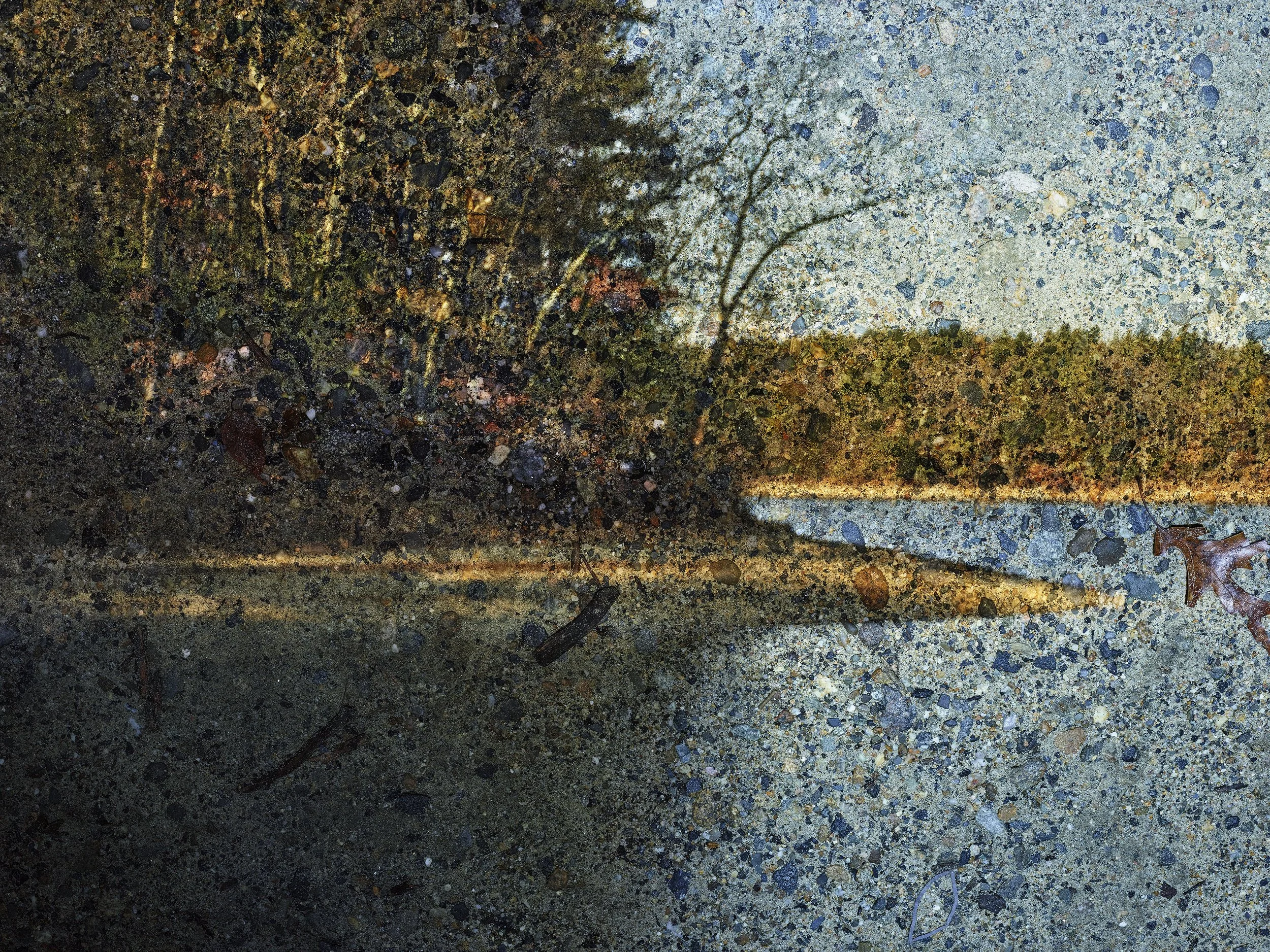 Tent-Camera Image: Walden Pond, 2016