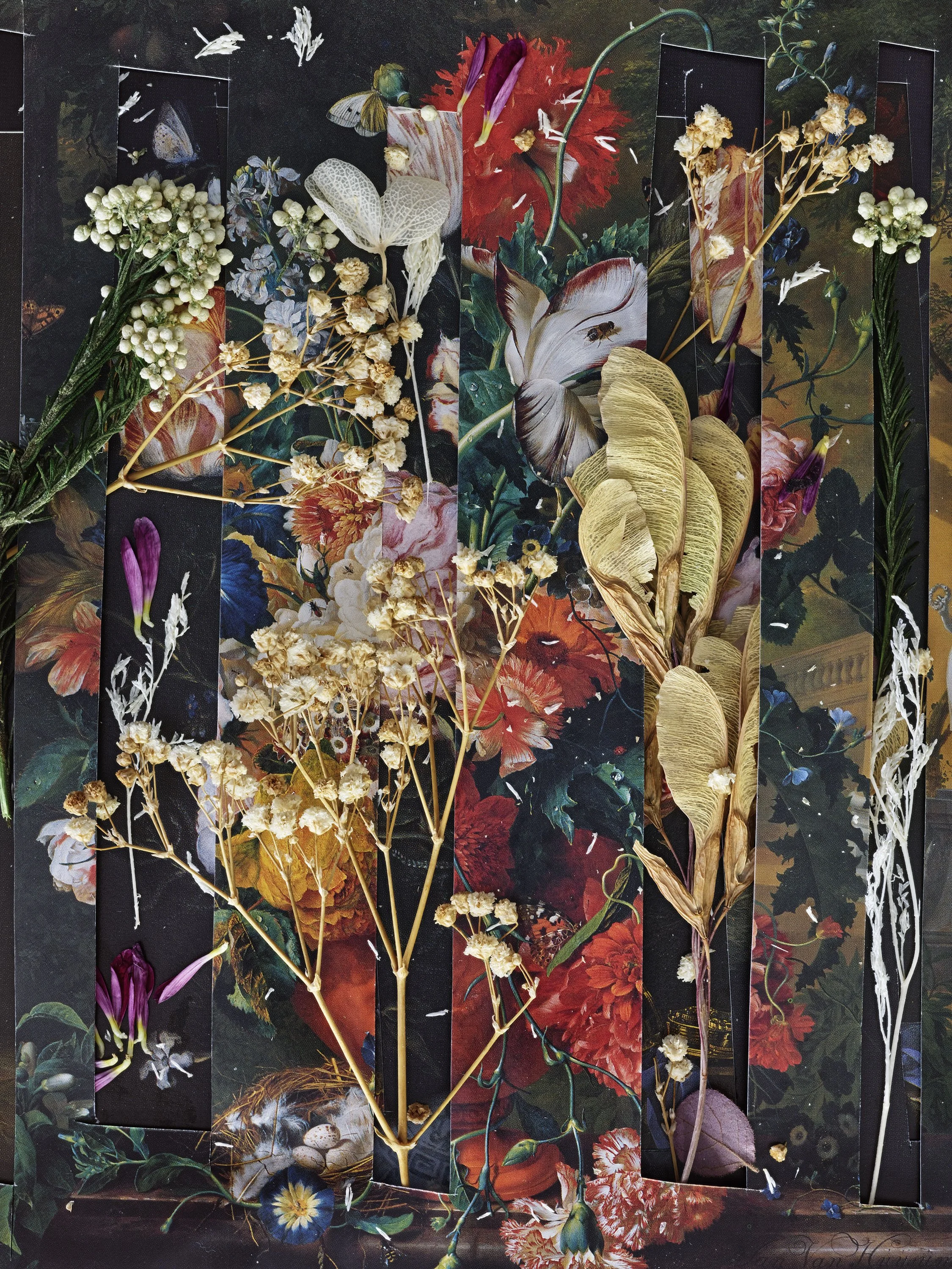 Flores Para Mi Madre, Carmen, #6, 2026