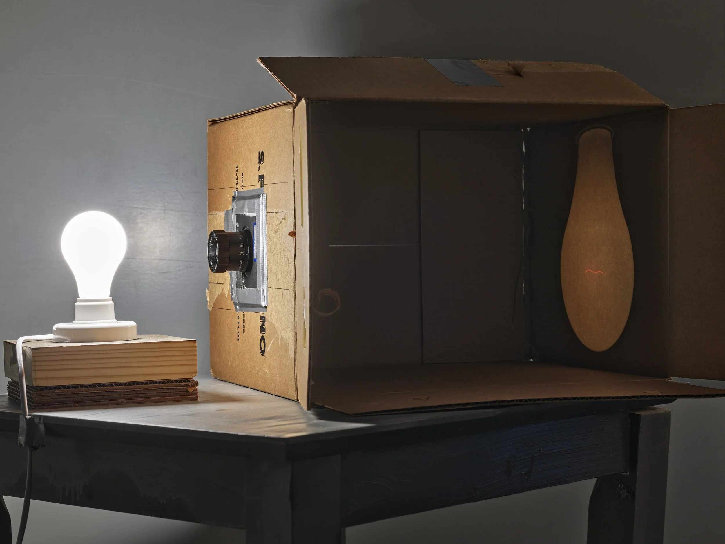 Light Bulb, 2025
